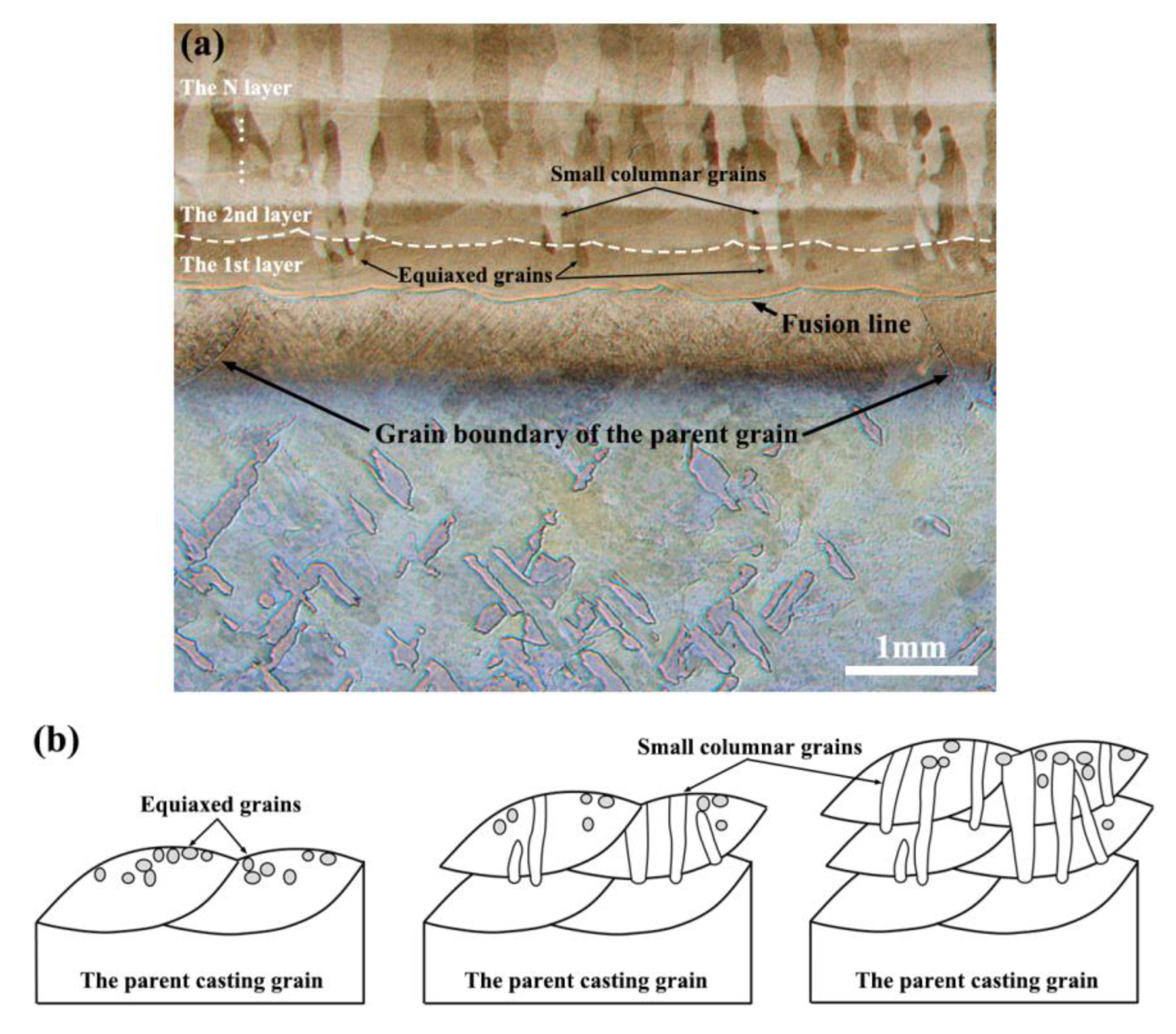 Metals 13 00668 g007