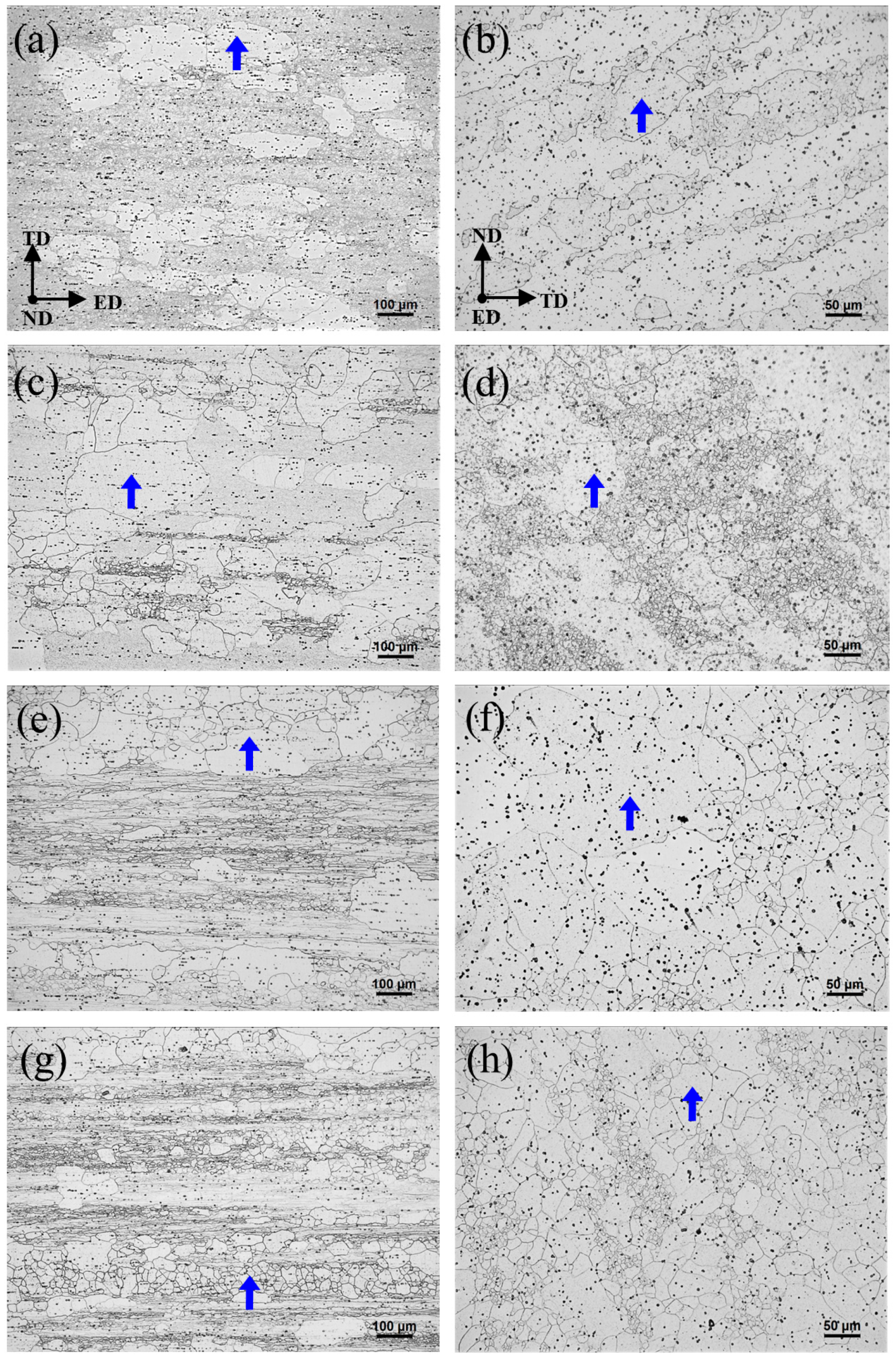 Metals 13 00669 g005