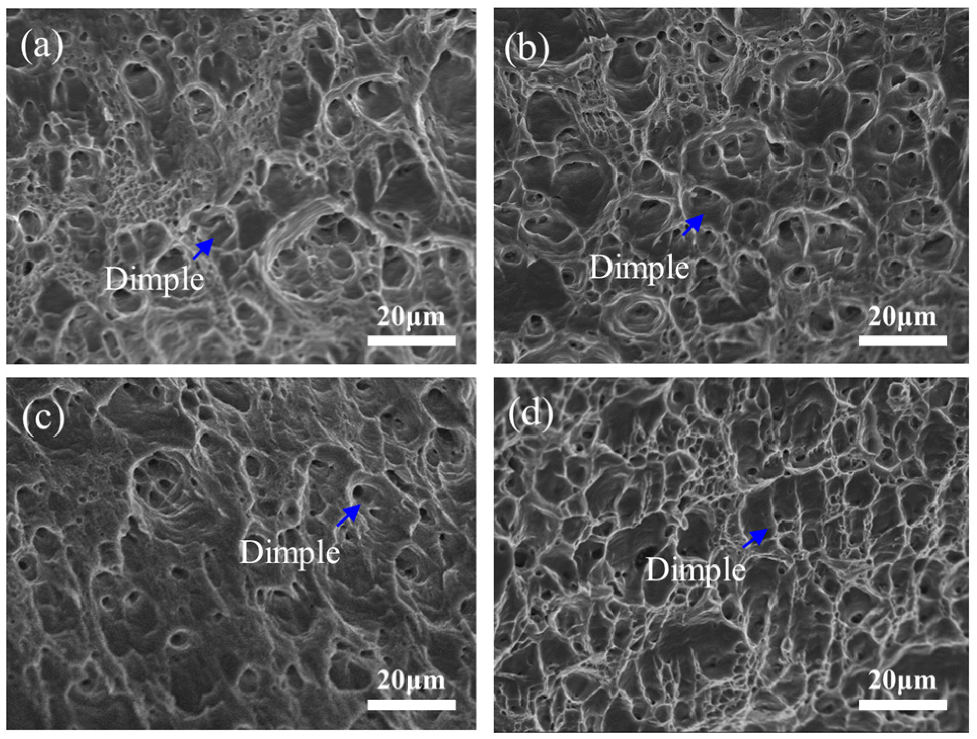 Metals 13 00669 g010