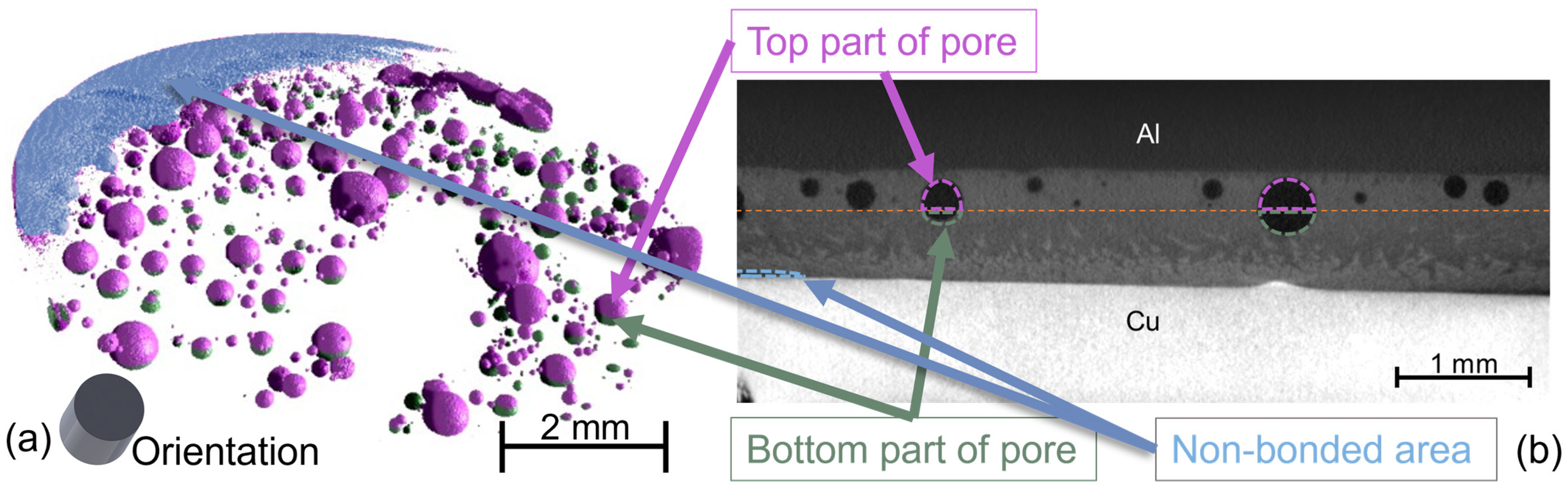 Metals 13 00671 g008