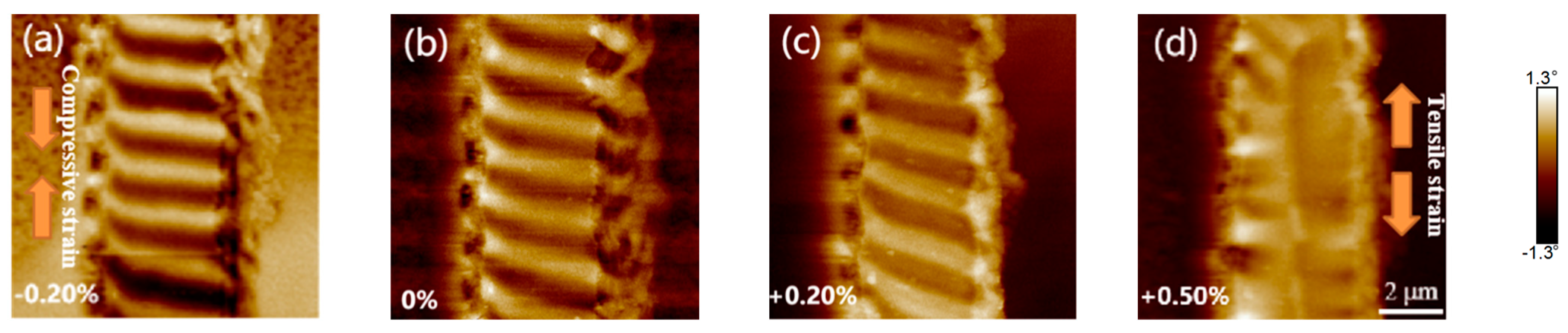 Metals 13 00678 g006