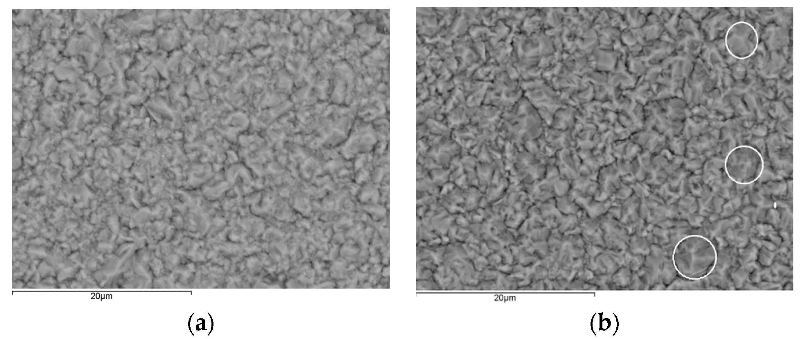 Metals 13 00683 g006