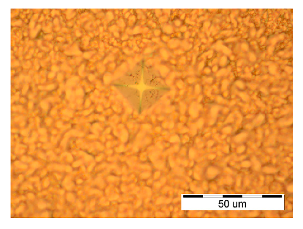 Metals 13 00683 g010