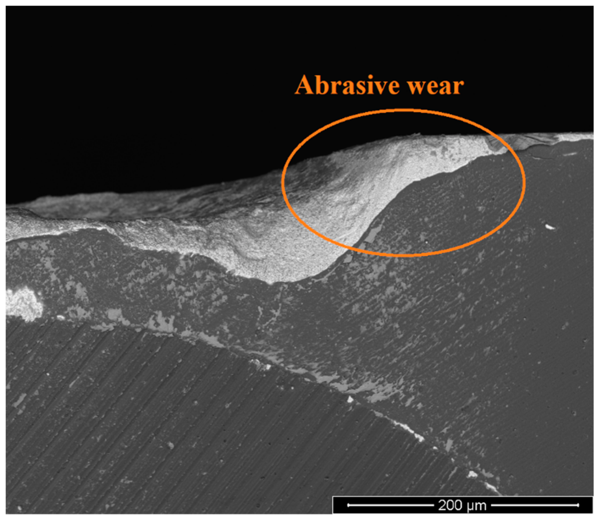 Metals 13 00684 g011