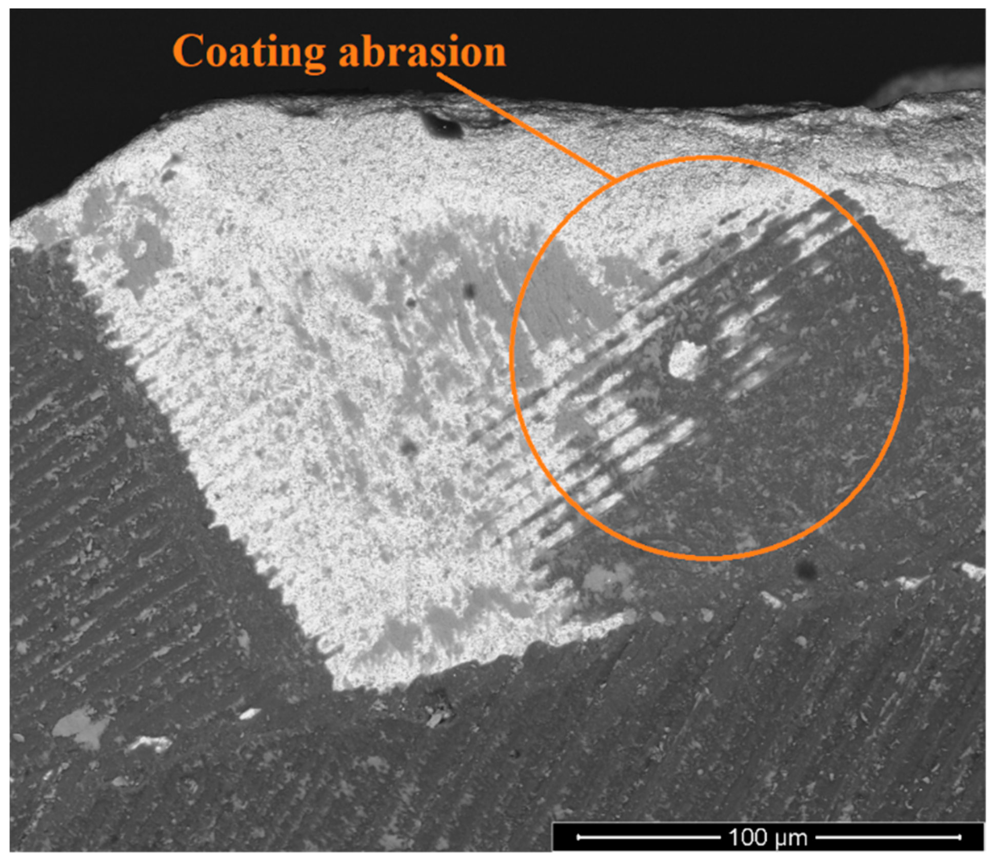 Metals 13 00684 g014