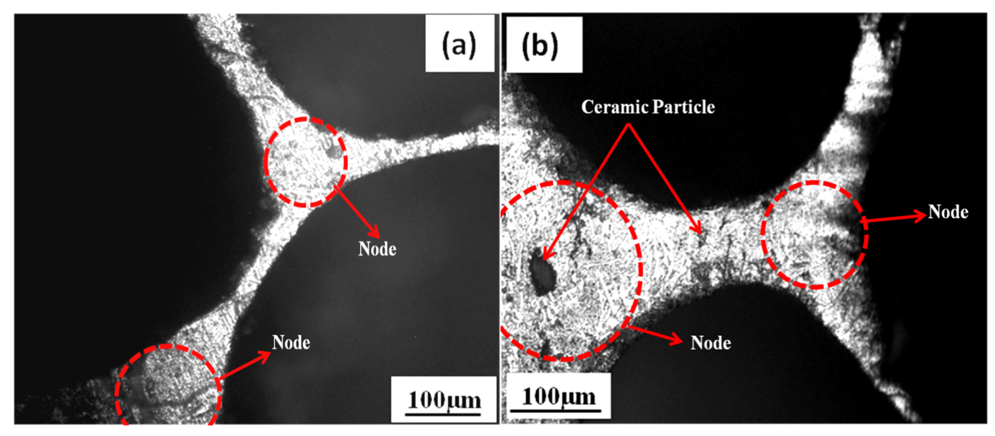 Metals 13 00685 g008