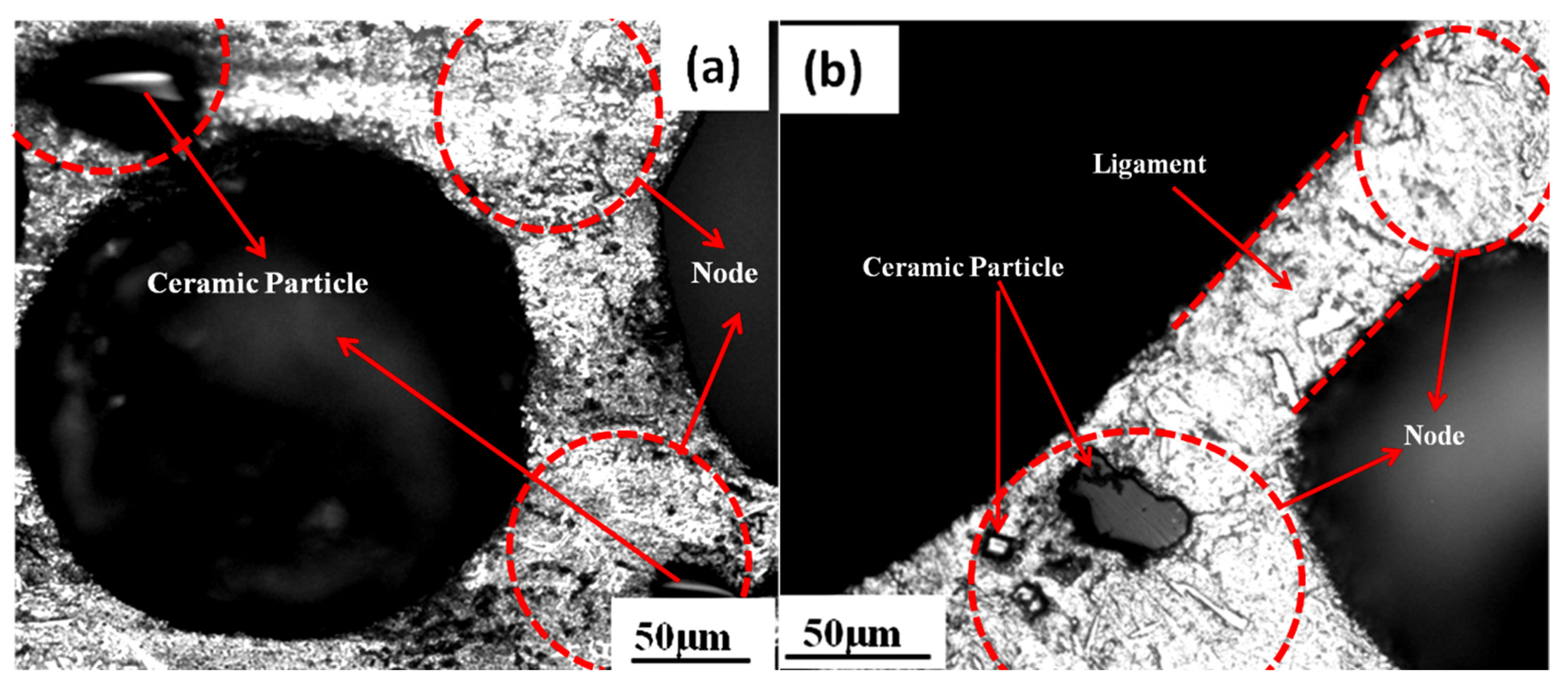 Metals 13 00685 g009