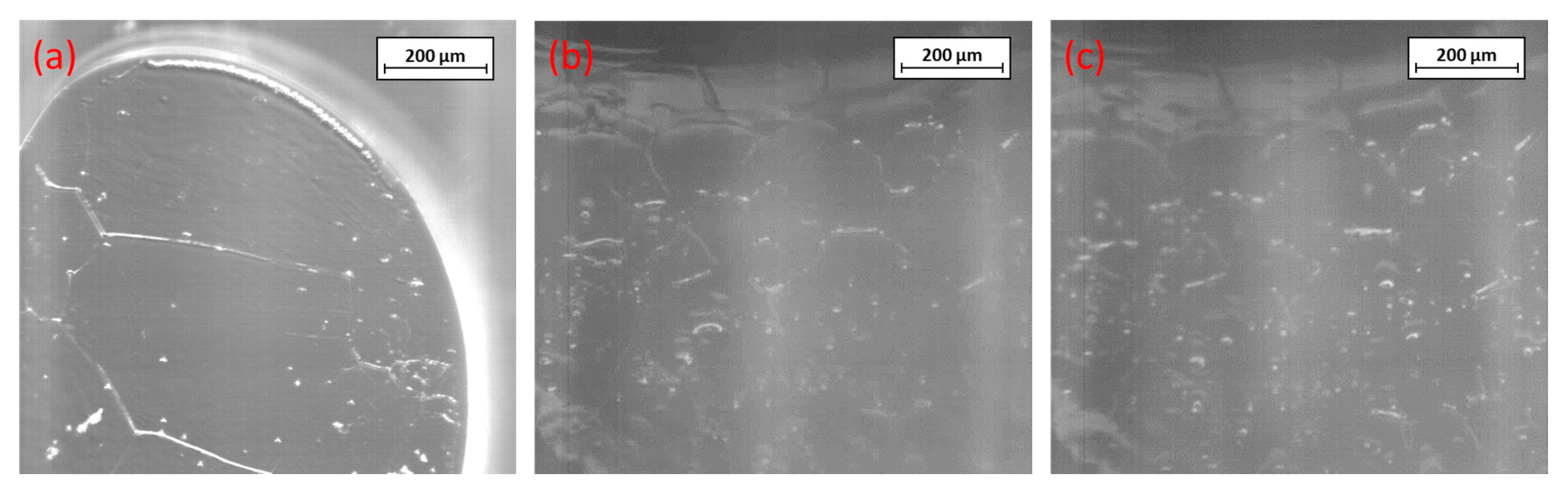 Metals 13 00686 g005 Metals 13 00686 g005