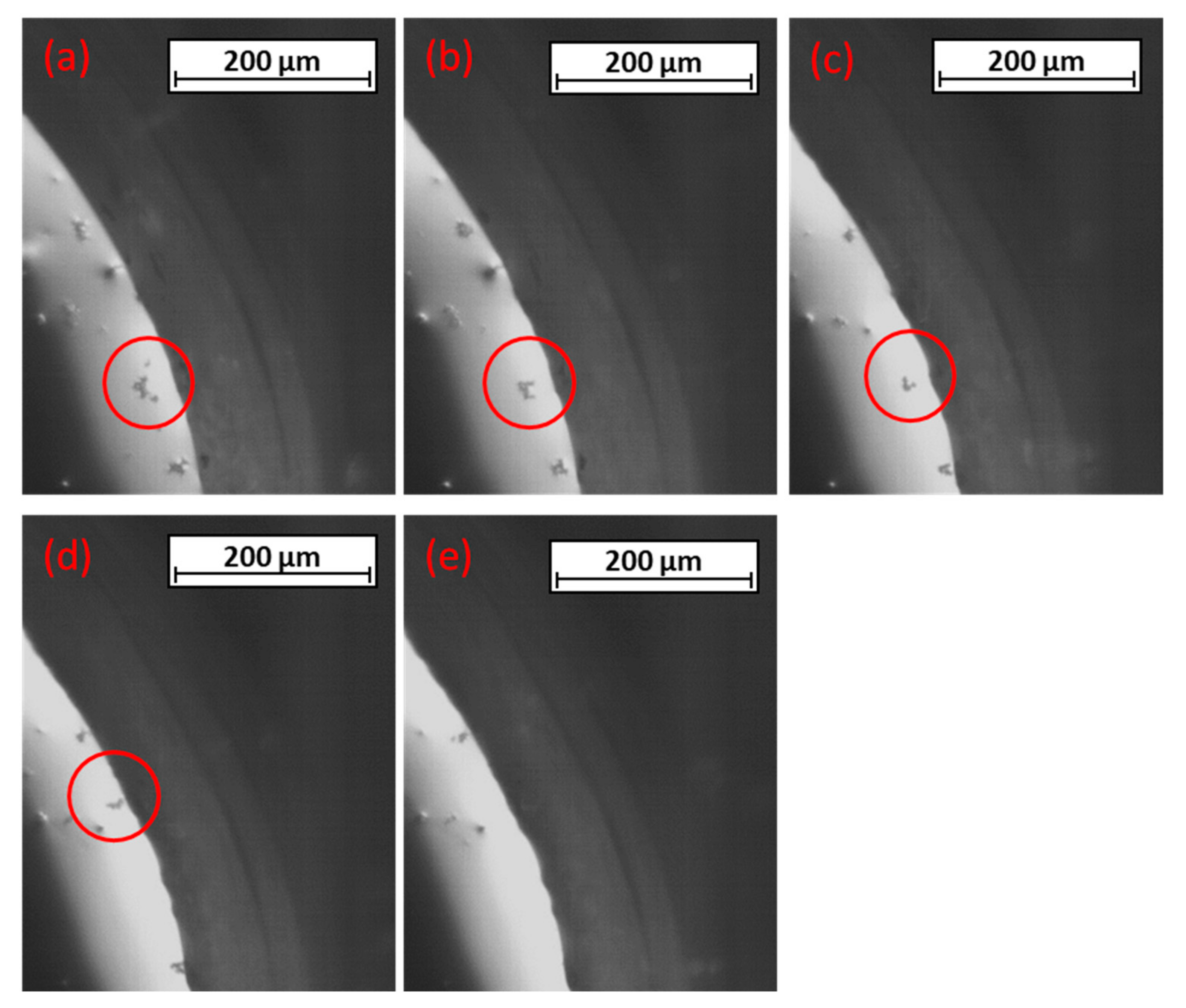 Metals 13 00686 g007 Metals 13 00686 g007