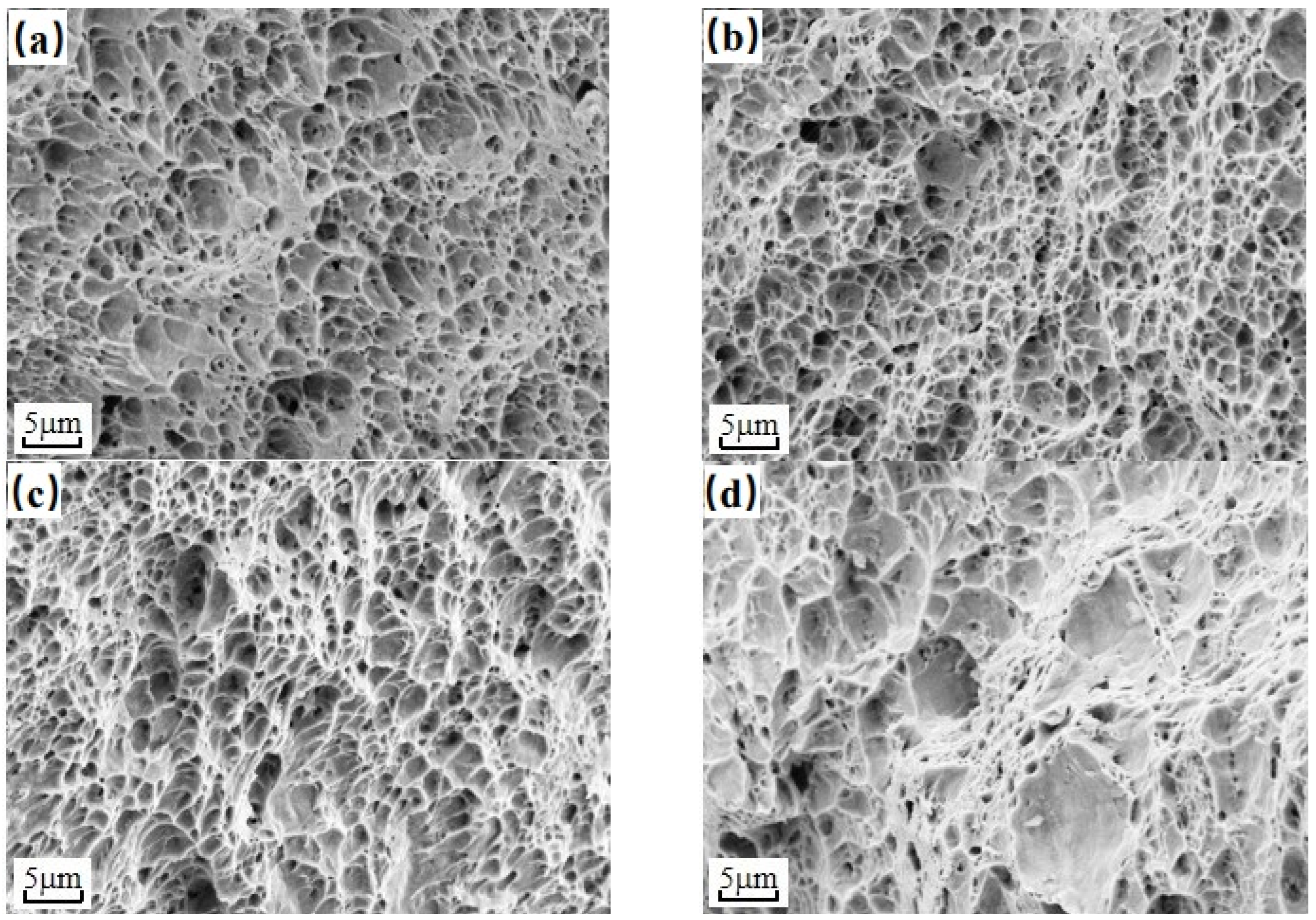 Metals 13 00688 g006