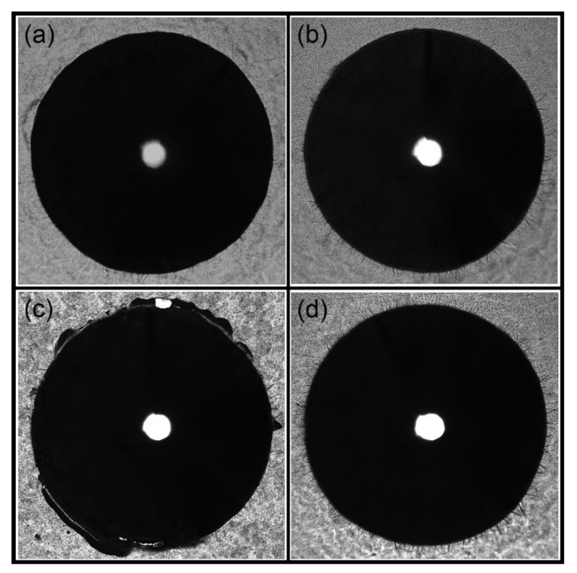Metals 13 00691 g009
