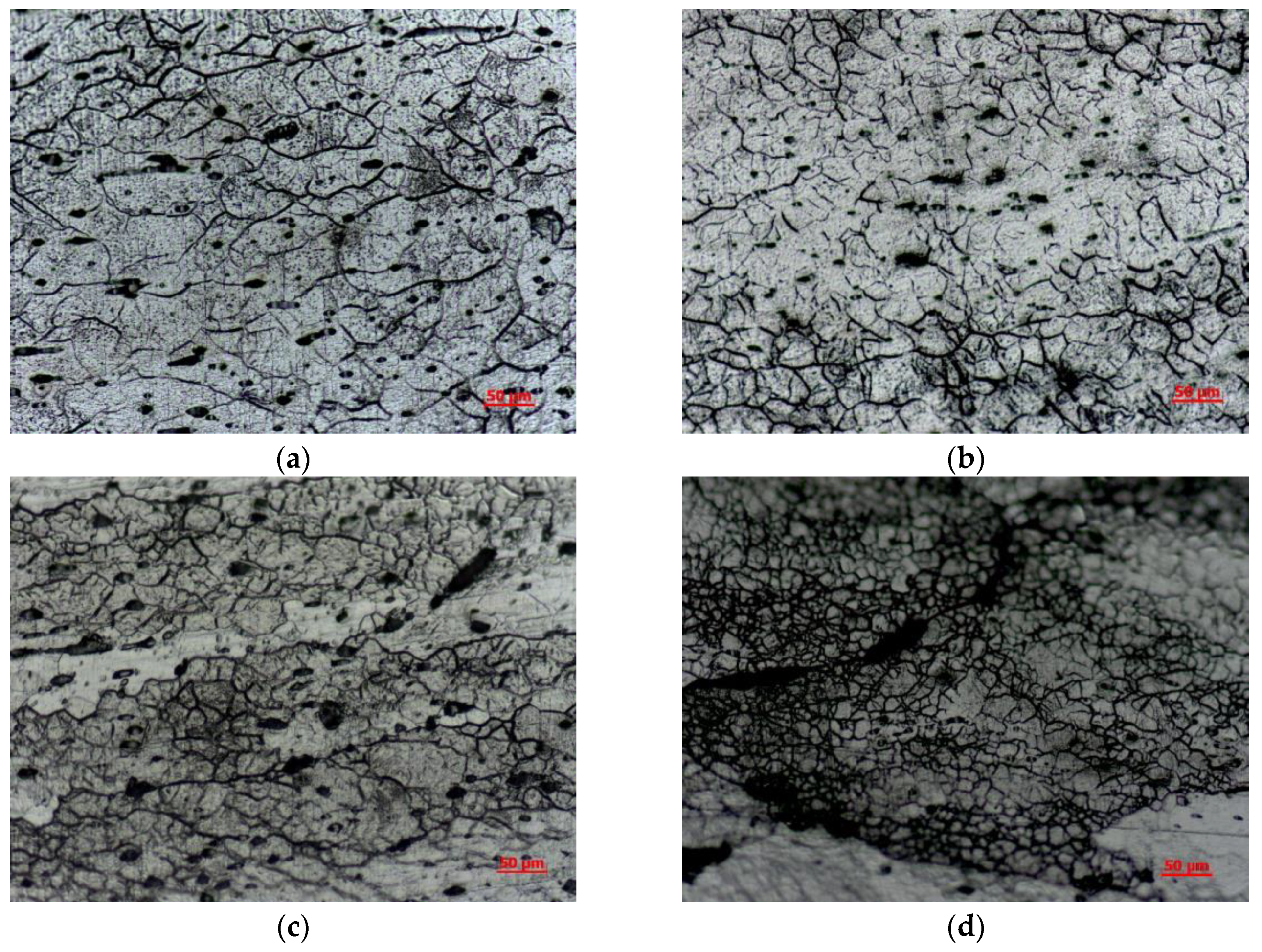 Metals 13 00692 g013