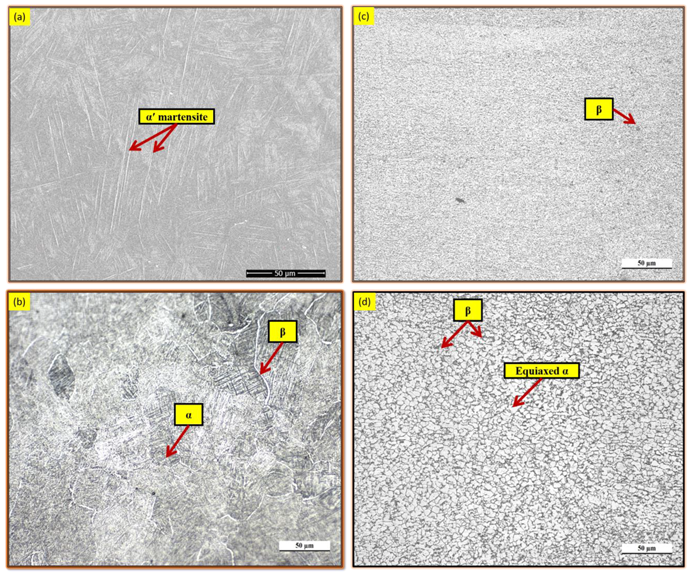 Metals 13 00693 g002 Metals 13 00693 g002