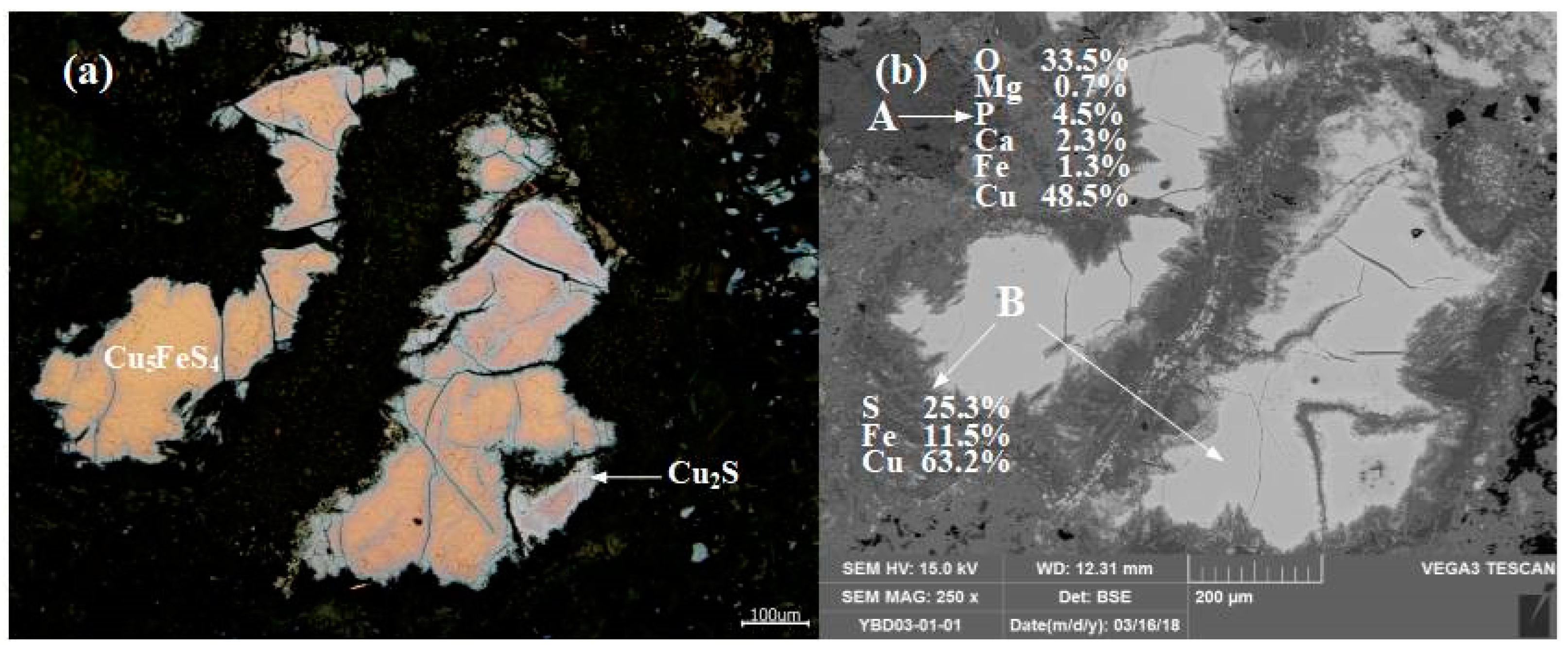 Metals 13 00707 g007