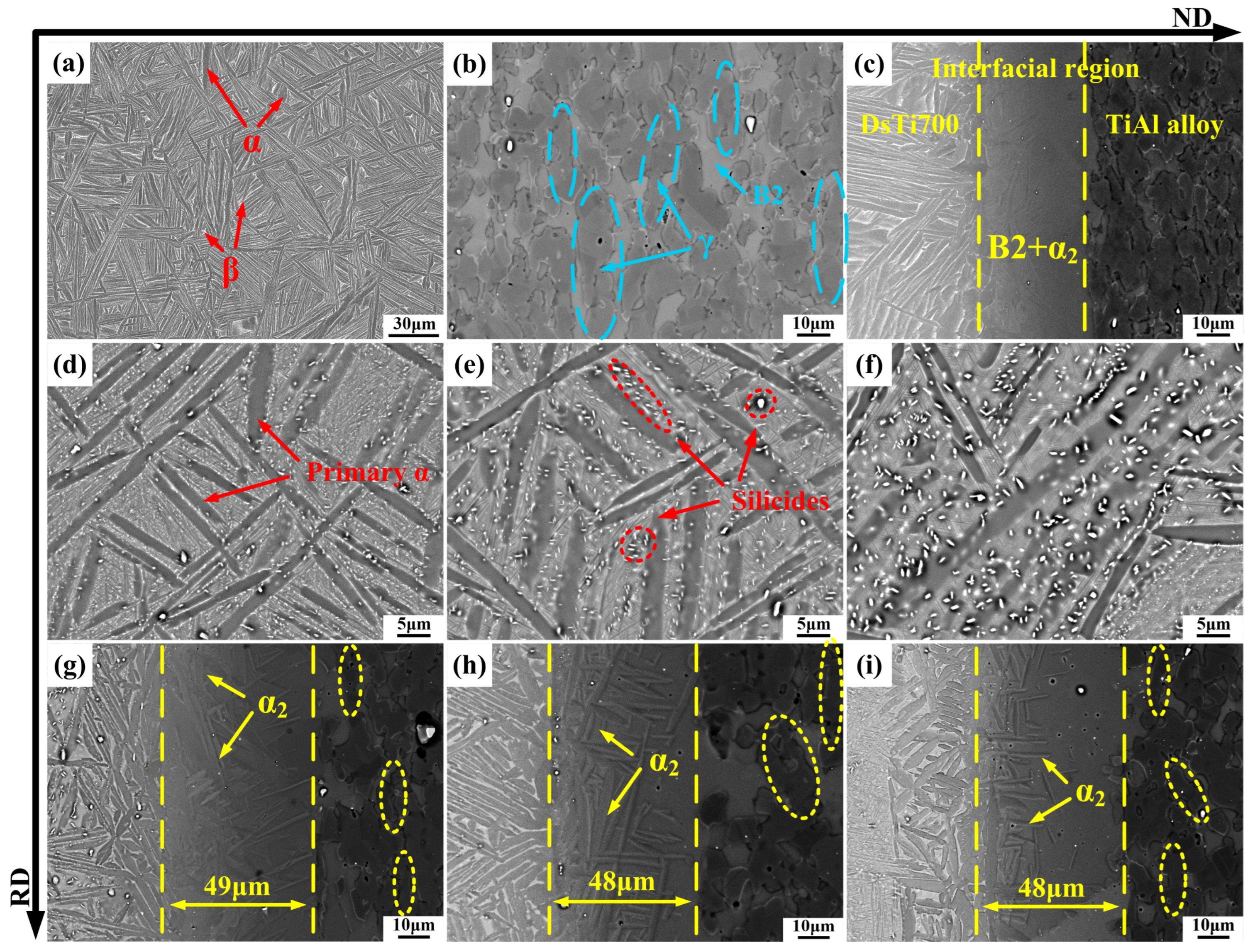 Metals 13 00708 g002