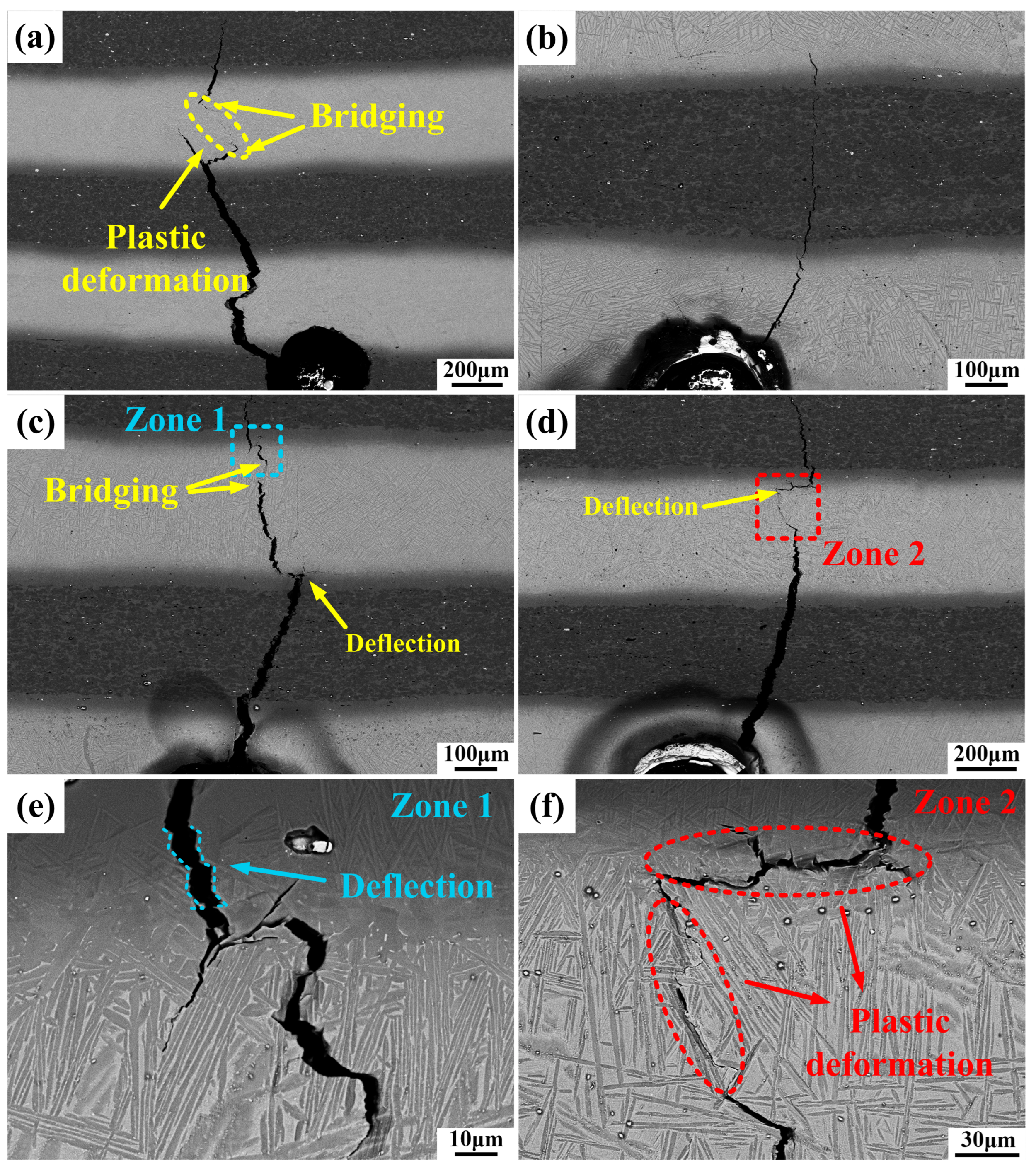 Metals 13 00708 g010
