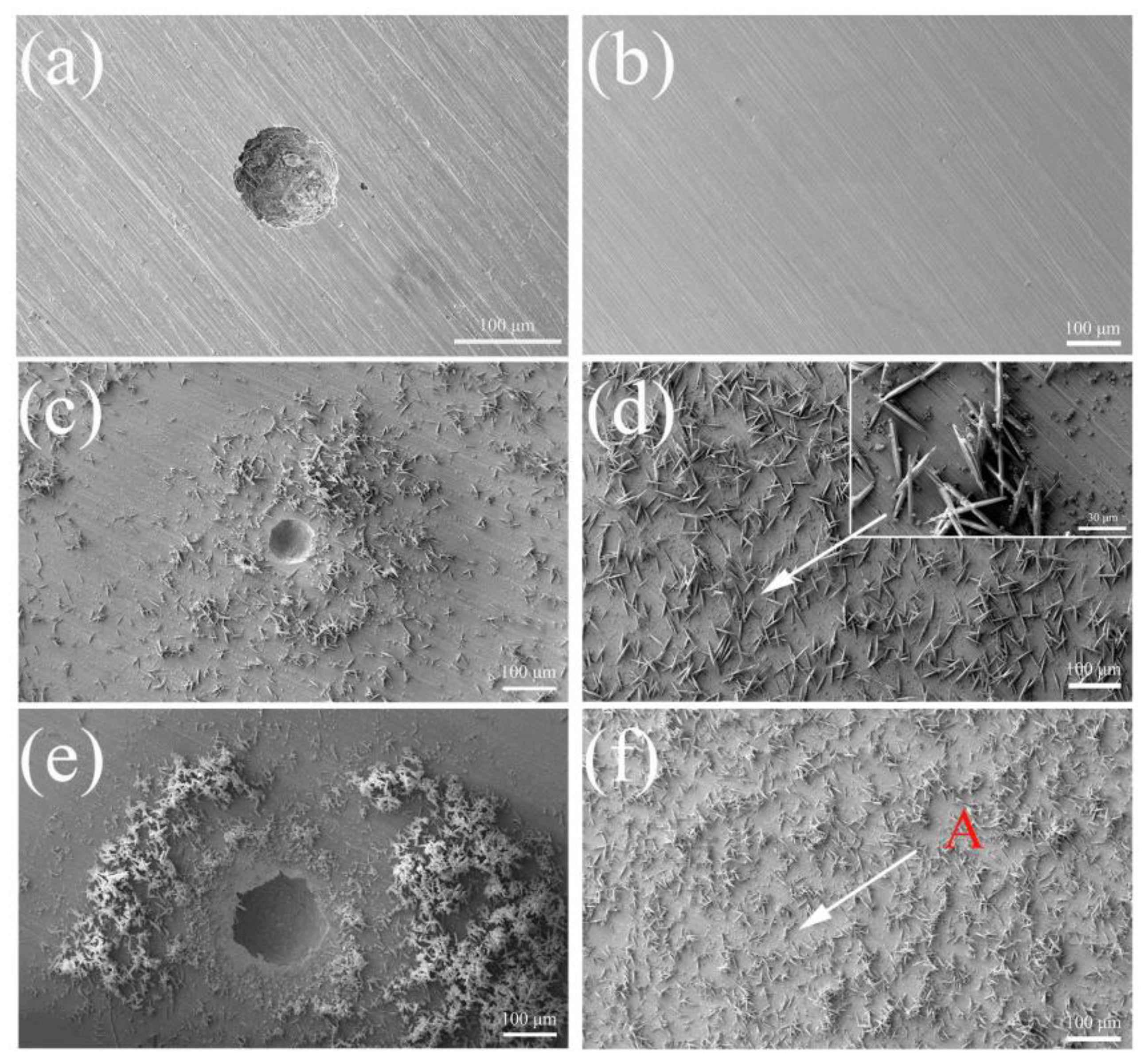 Metals 13 00713 g007