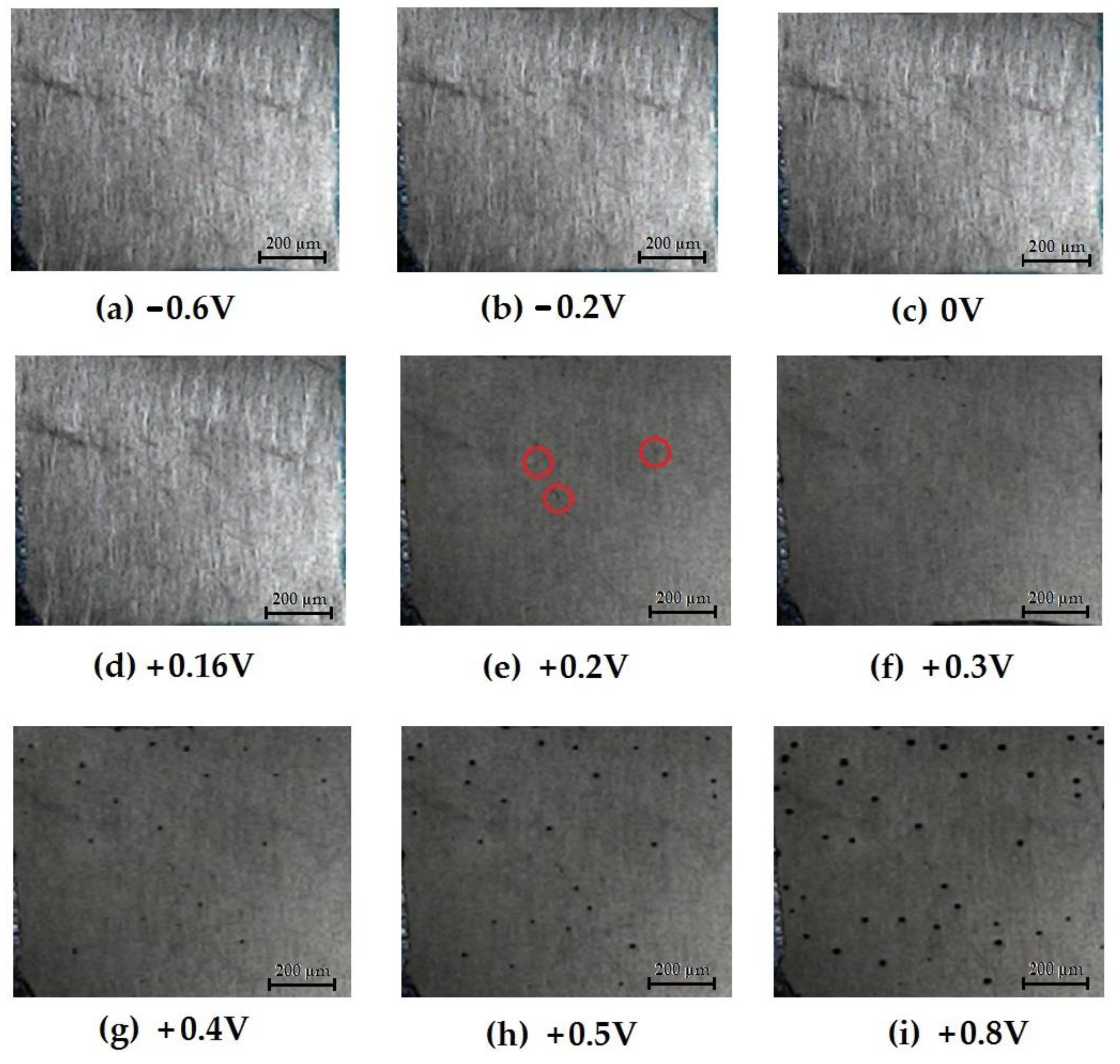 Metals 13 00721 g006