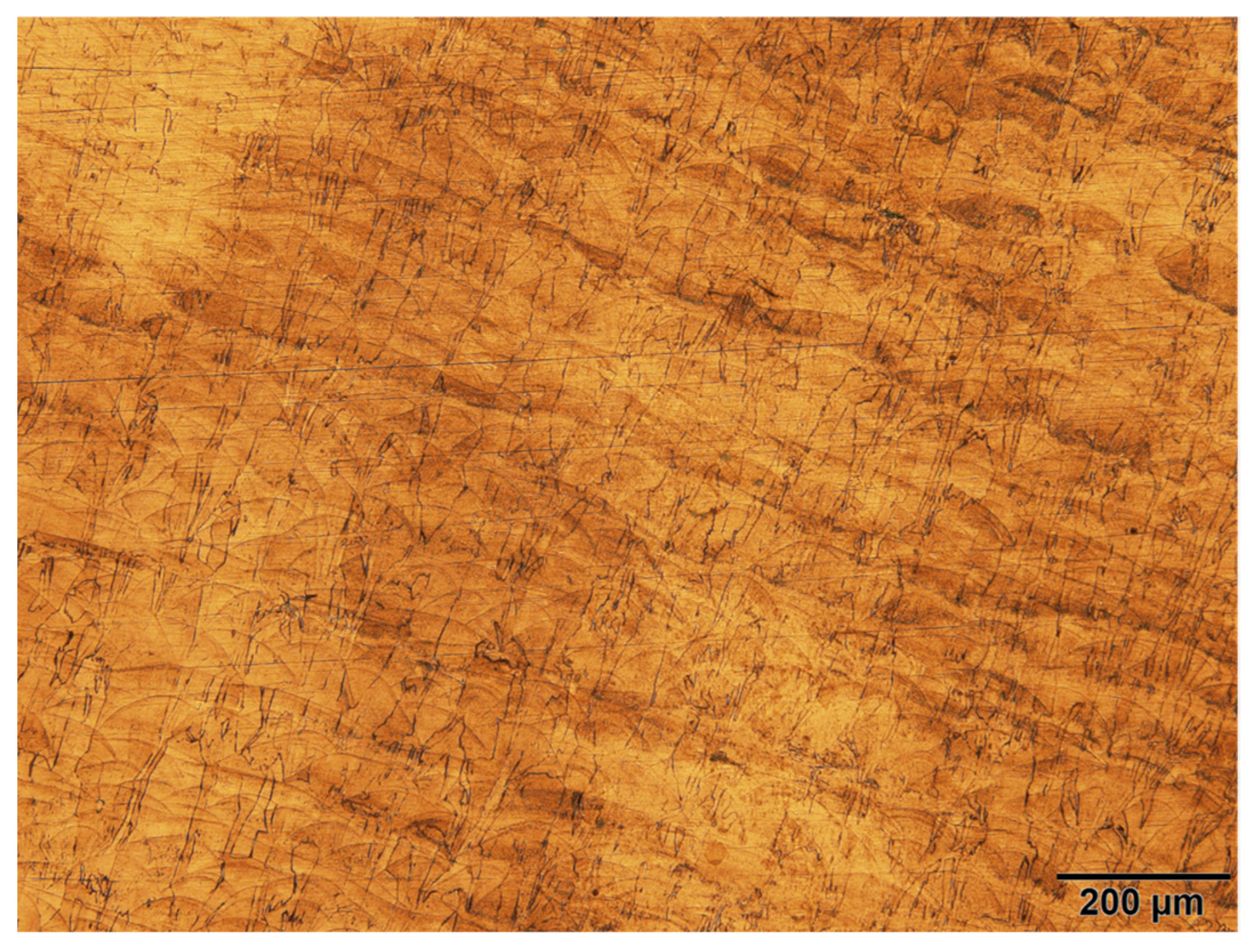 Metals 13 00725 g016