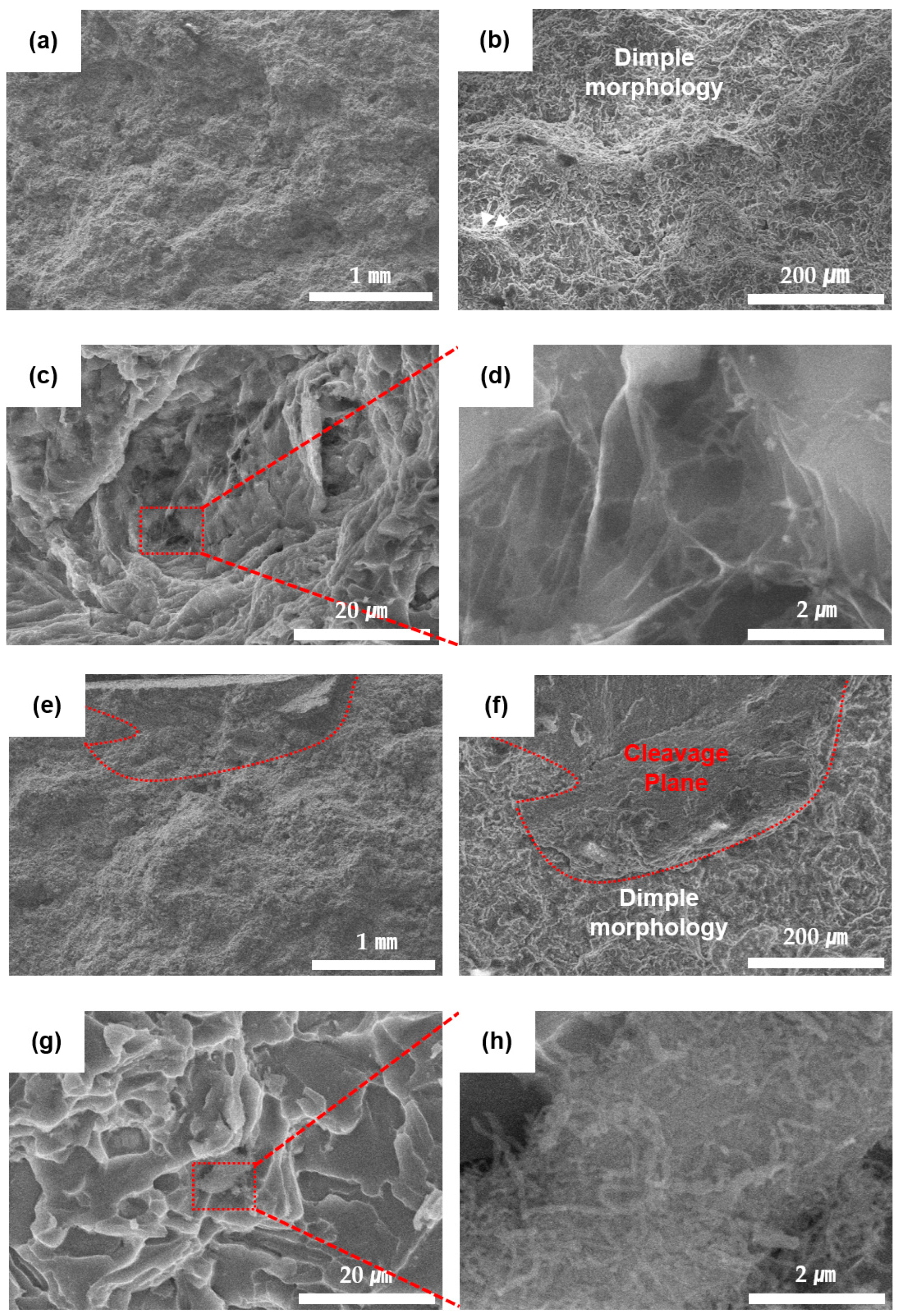Metals 13 00730 g013 Metals 13 00730 g013