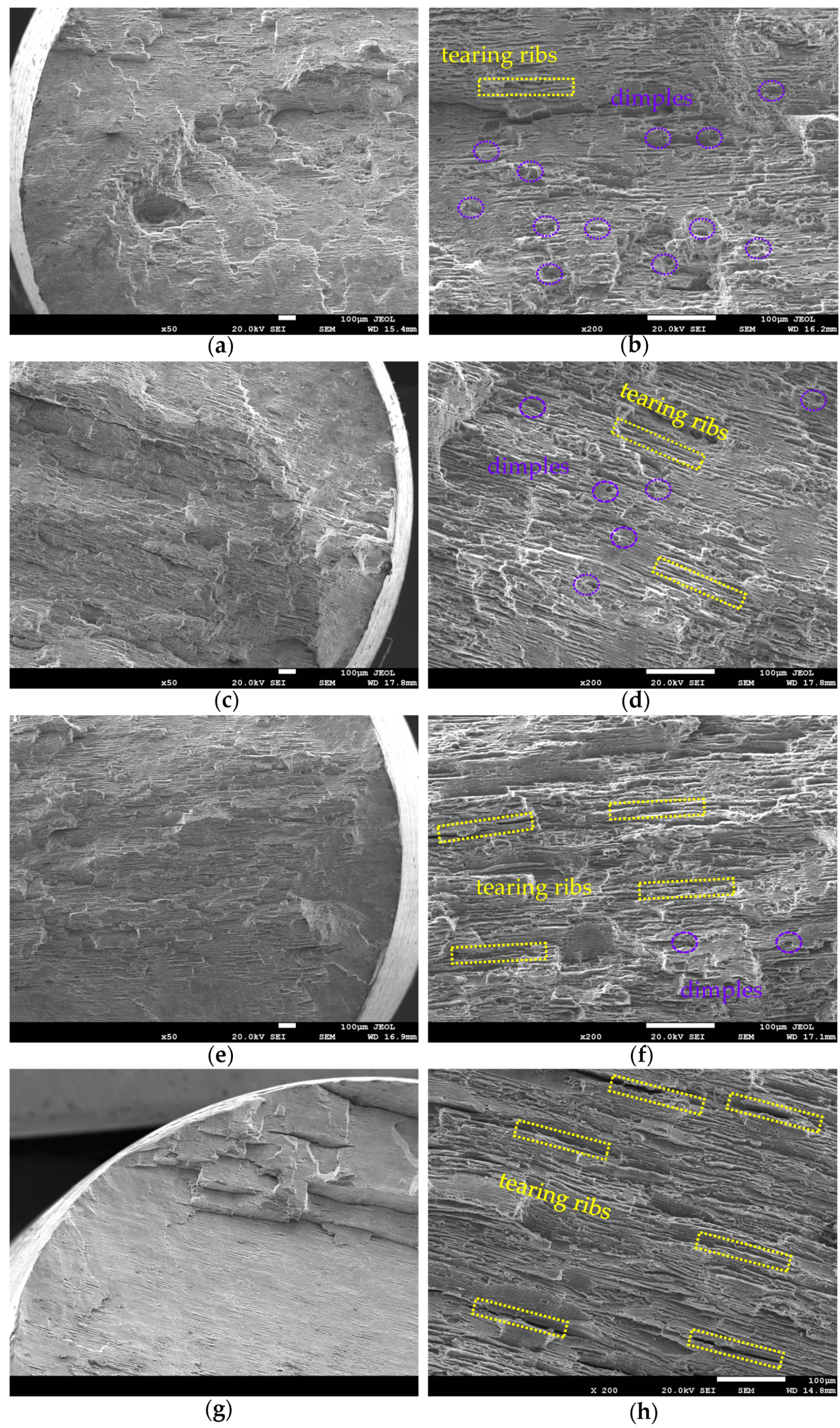 Metals 13 00740 g004