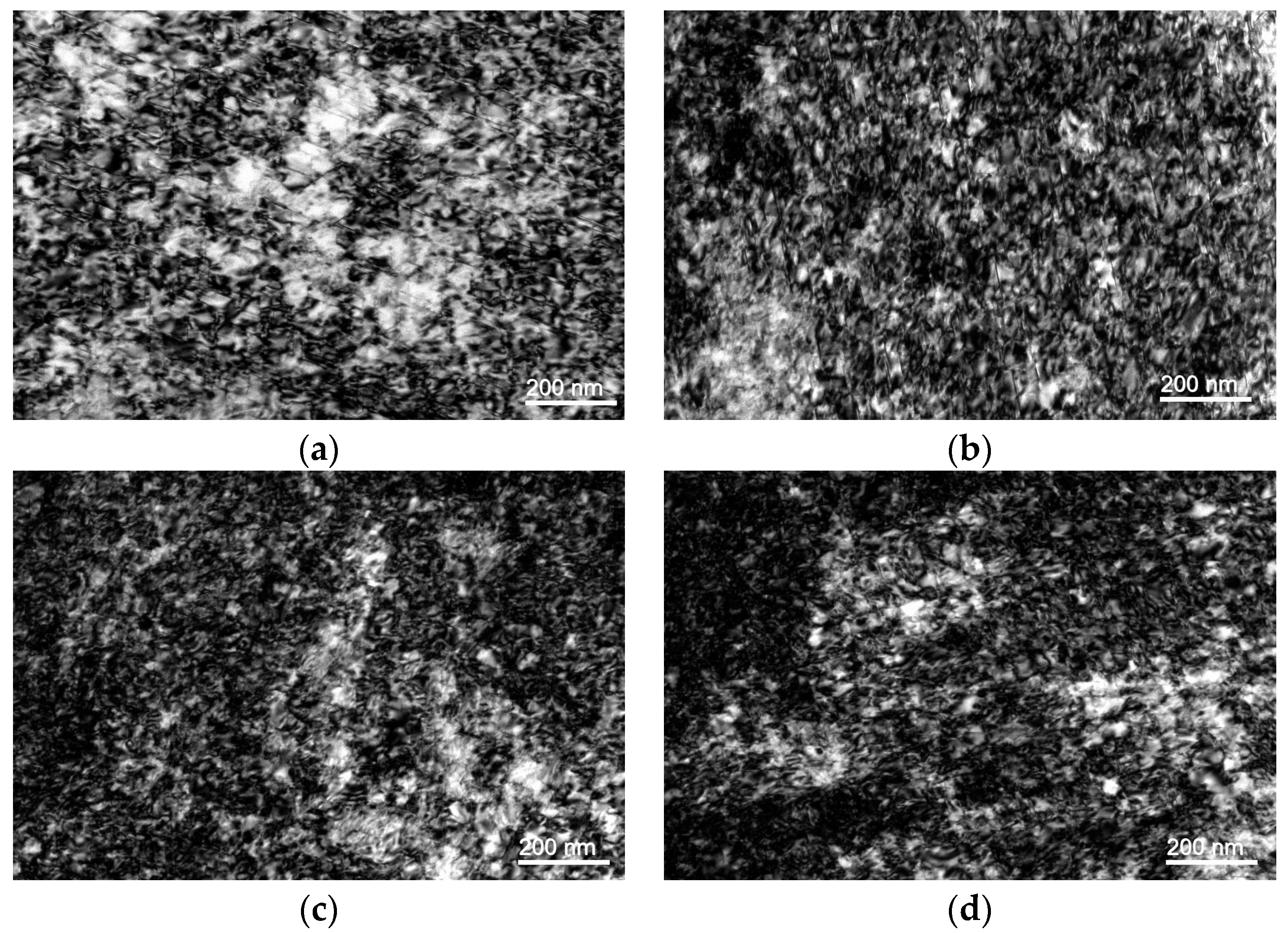 Metals 13 00740 g013