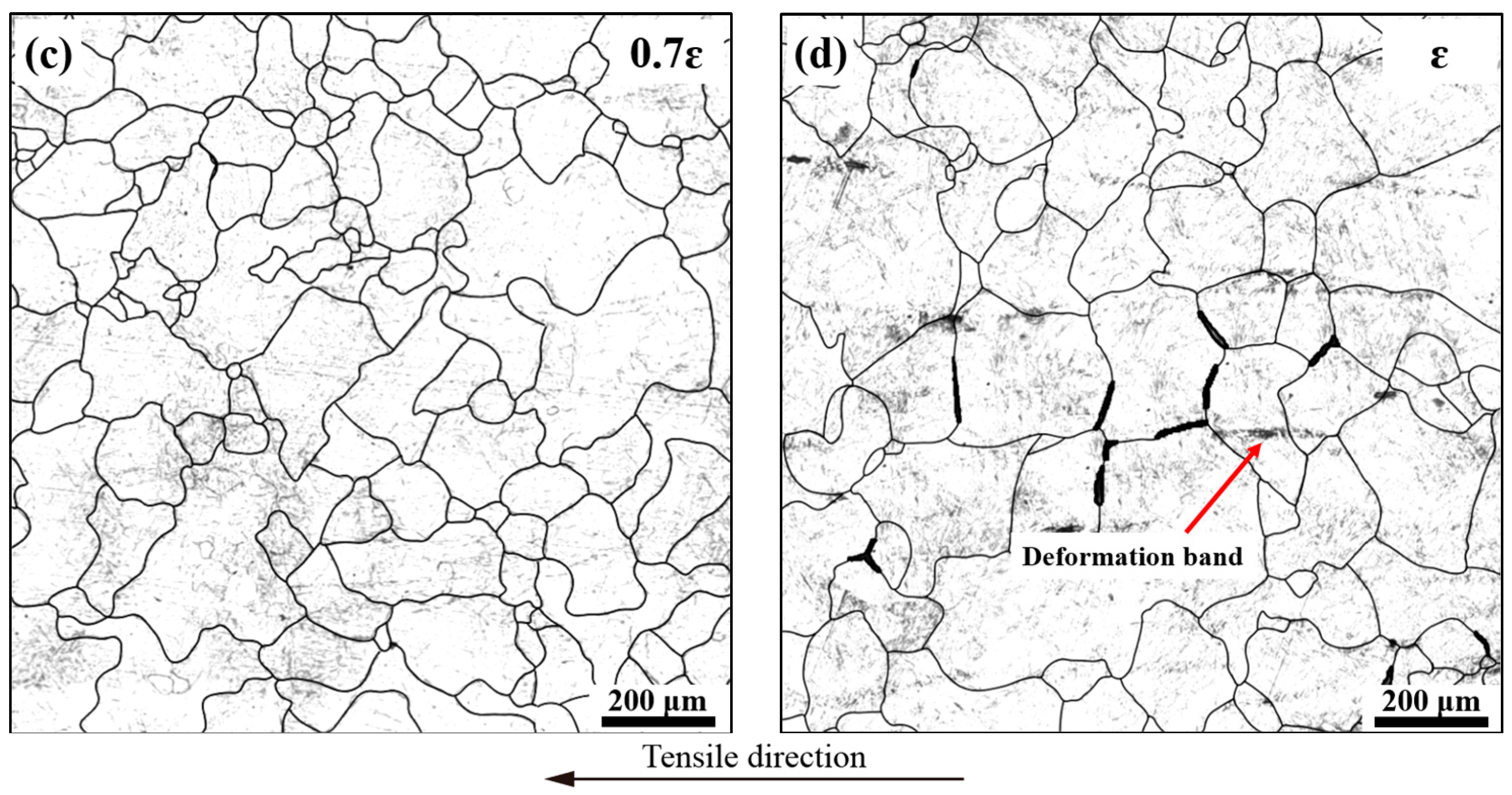 Metals 13 00747 g007b