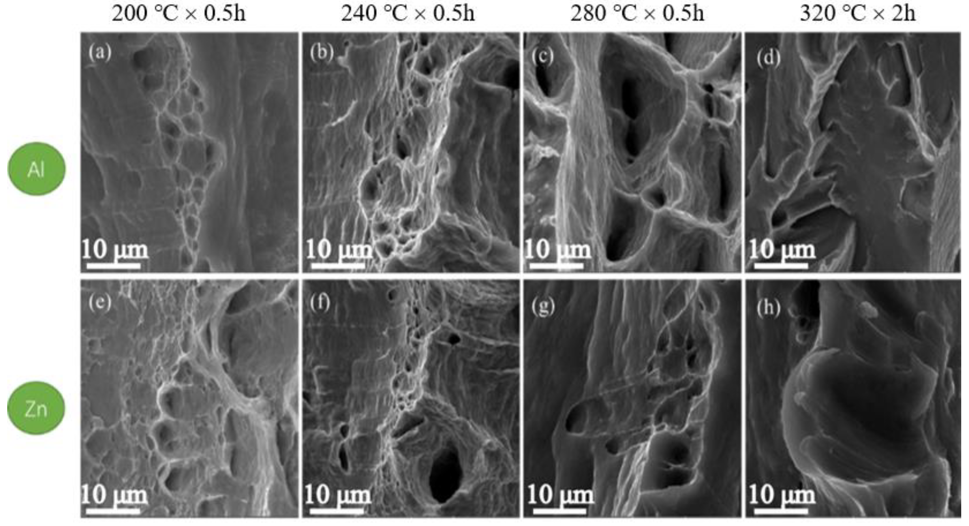 Metals 13 00748 g015