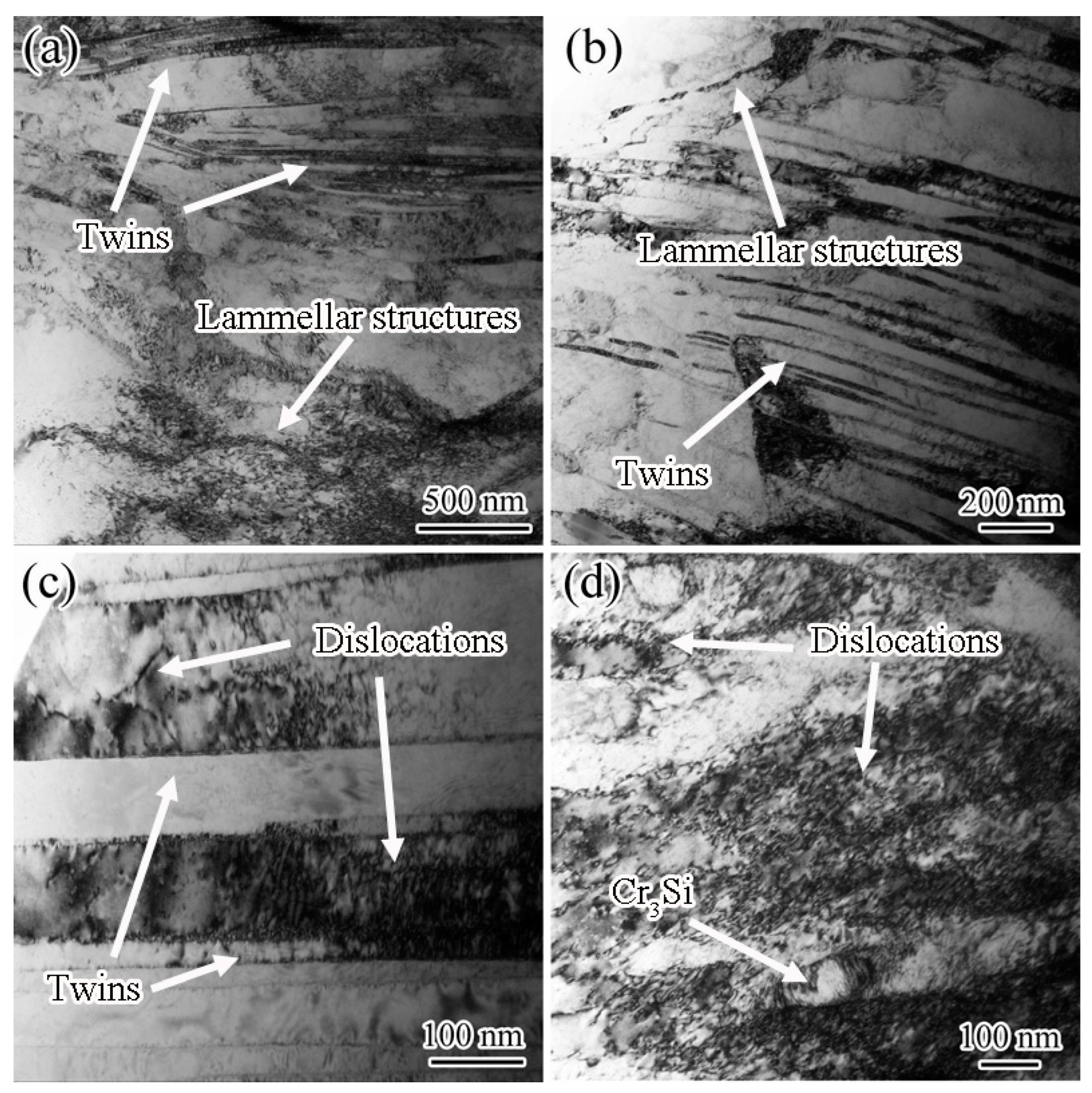 Metals 13 00758 g005