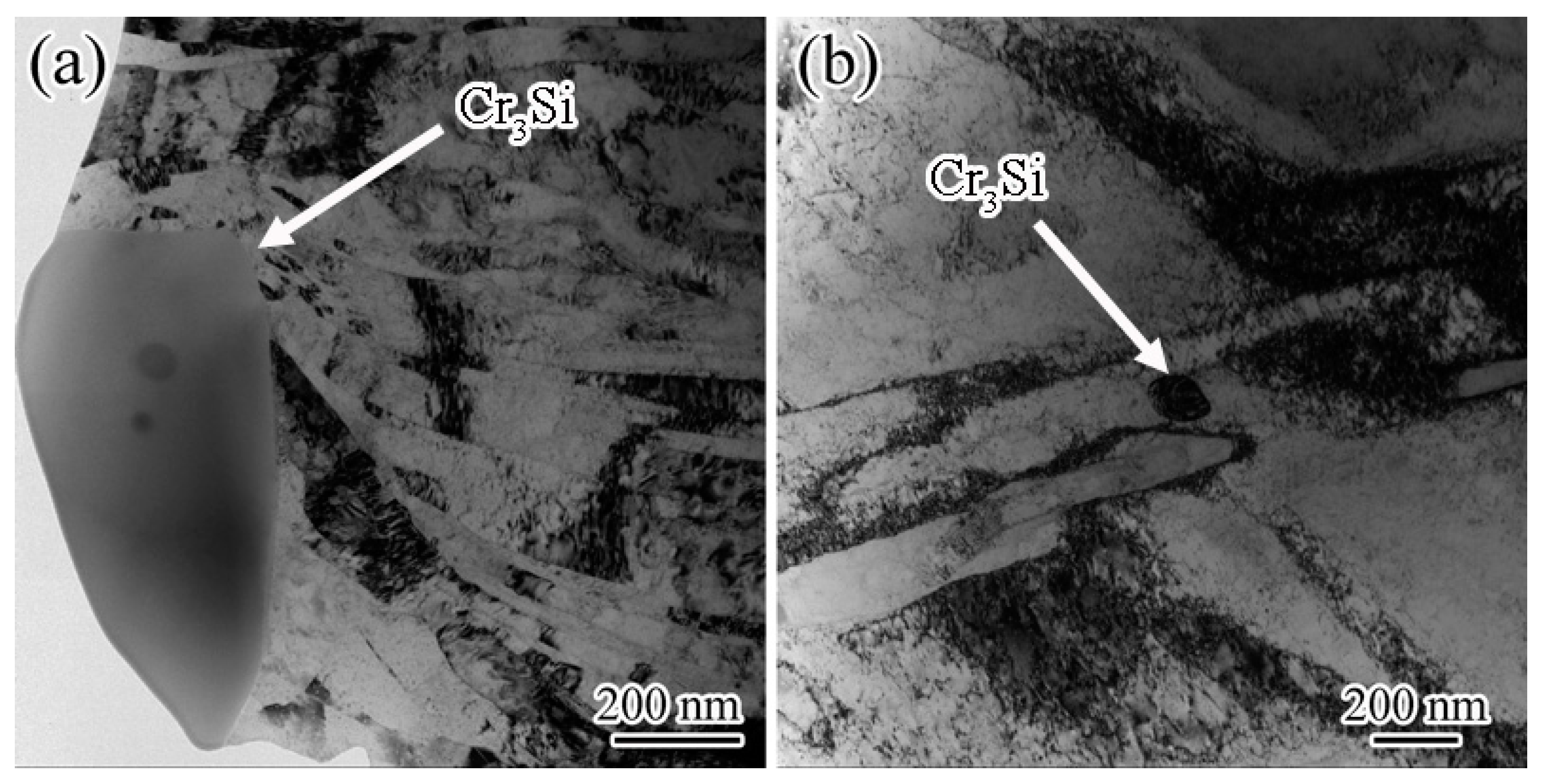 Metals 13 00758 g006