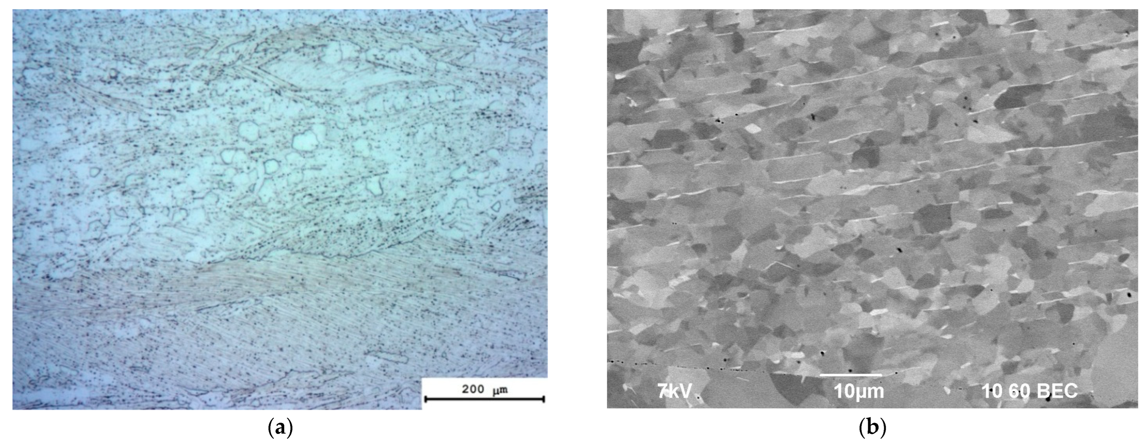 Metals 13 00766 g003a Metals 13 00766 g003a