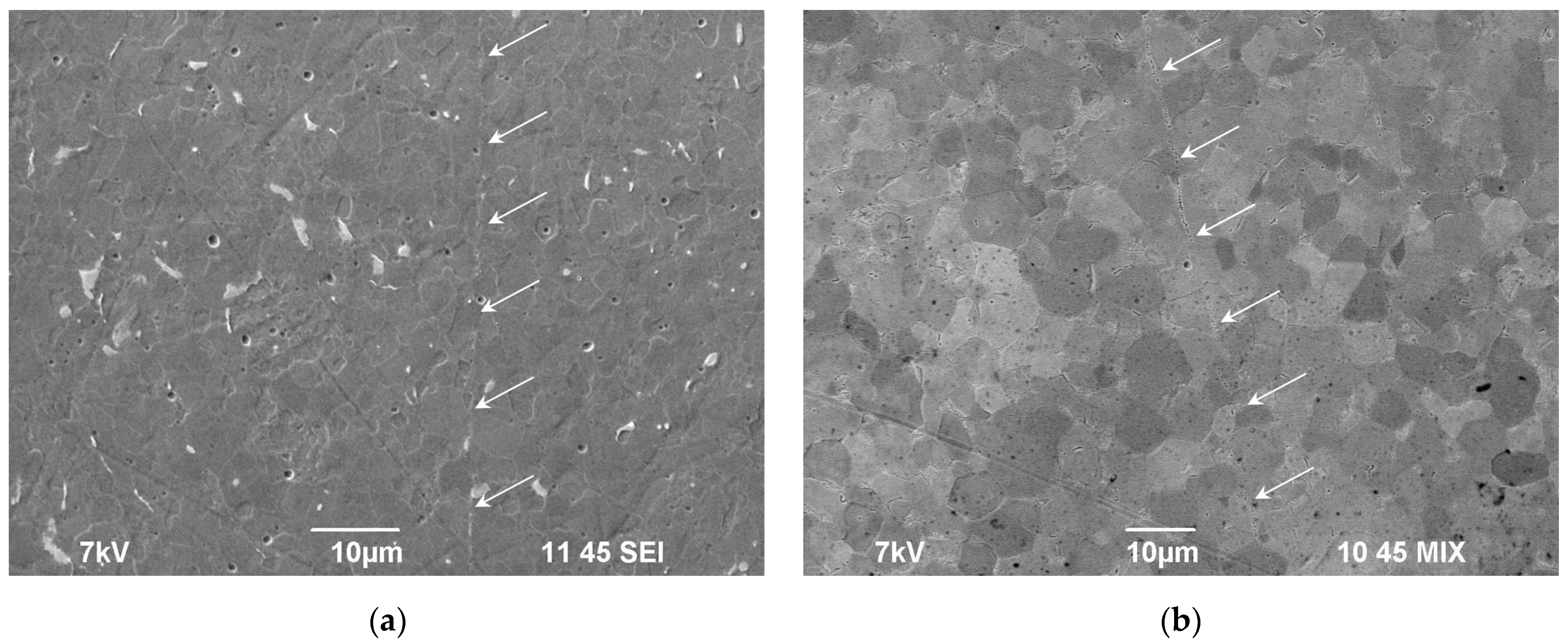 Metals 13 00766 g007a Metals 13 00766 g007a