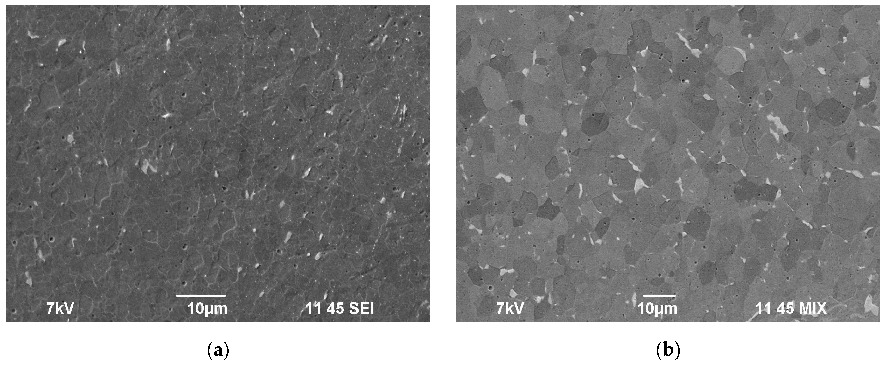 Metals 13 00766 g009a Metals 13 00766 g009a