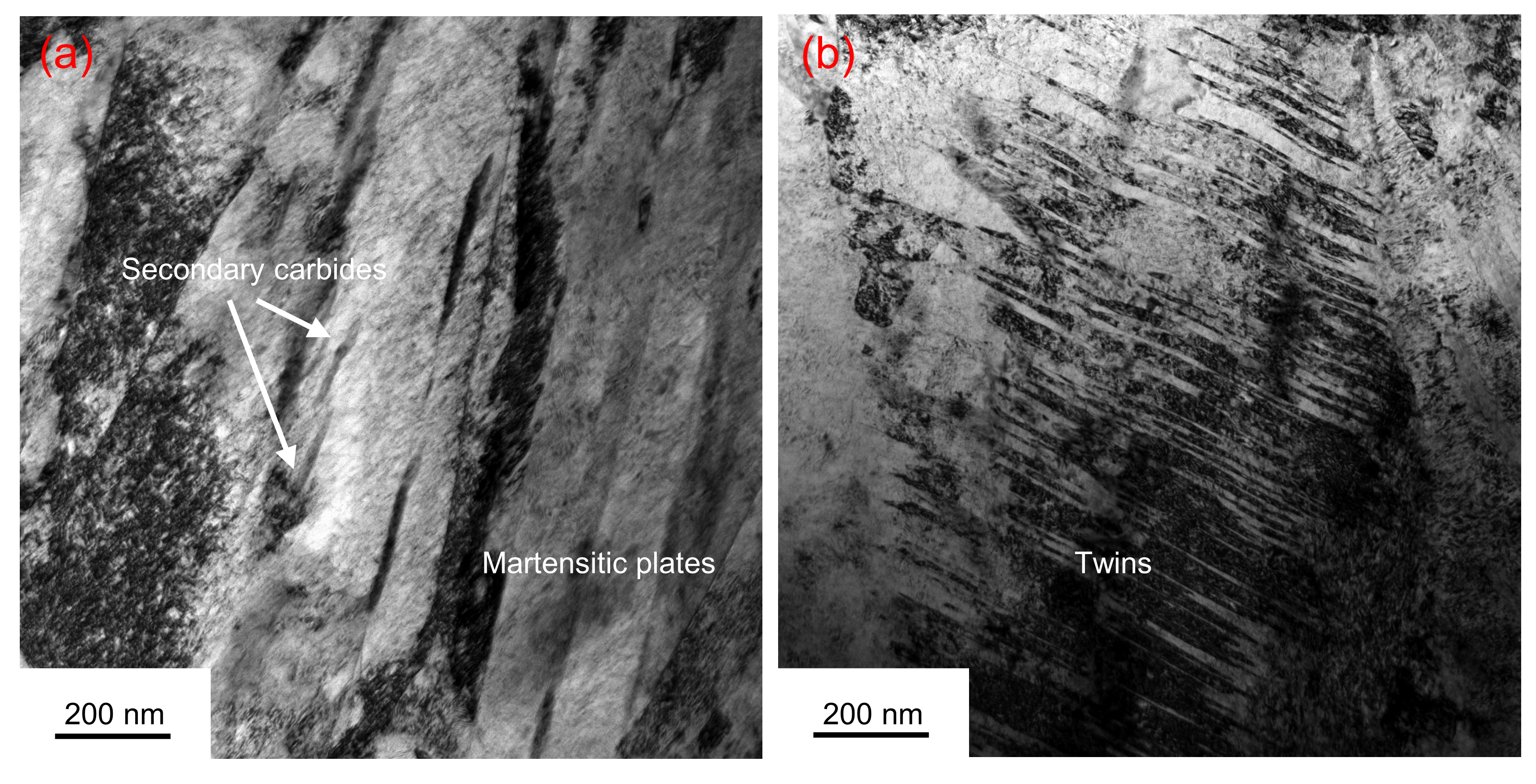 Metals 13 00769 g007