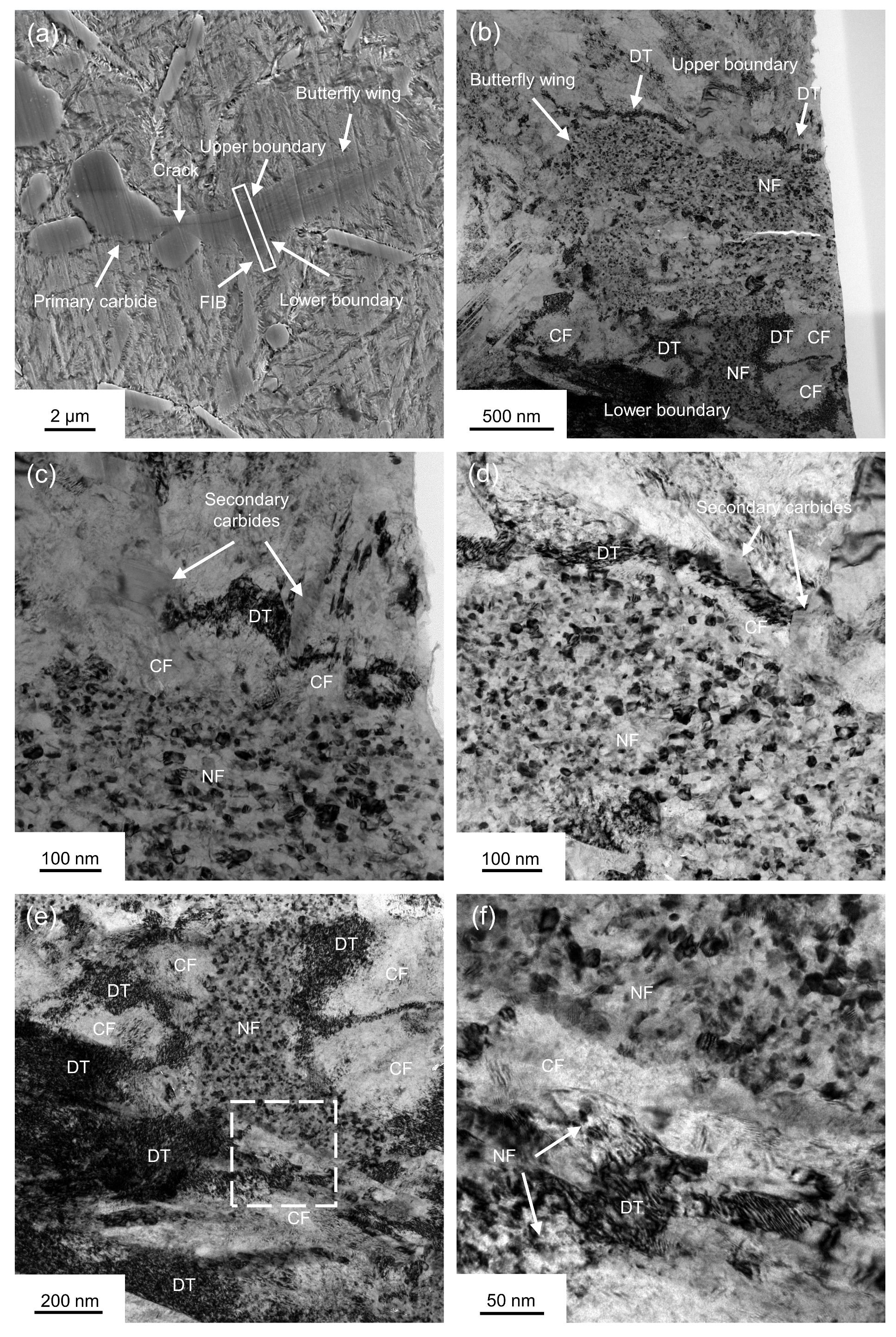 Metals 13 00769 g009