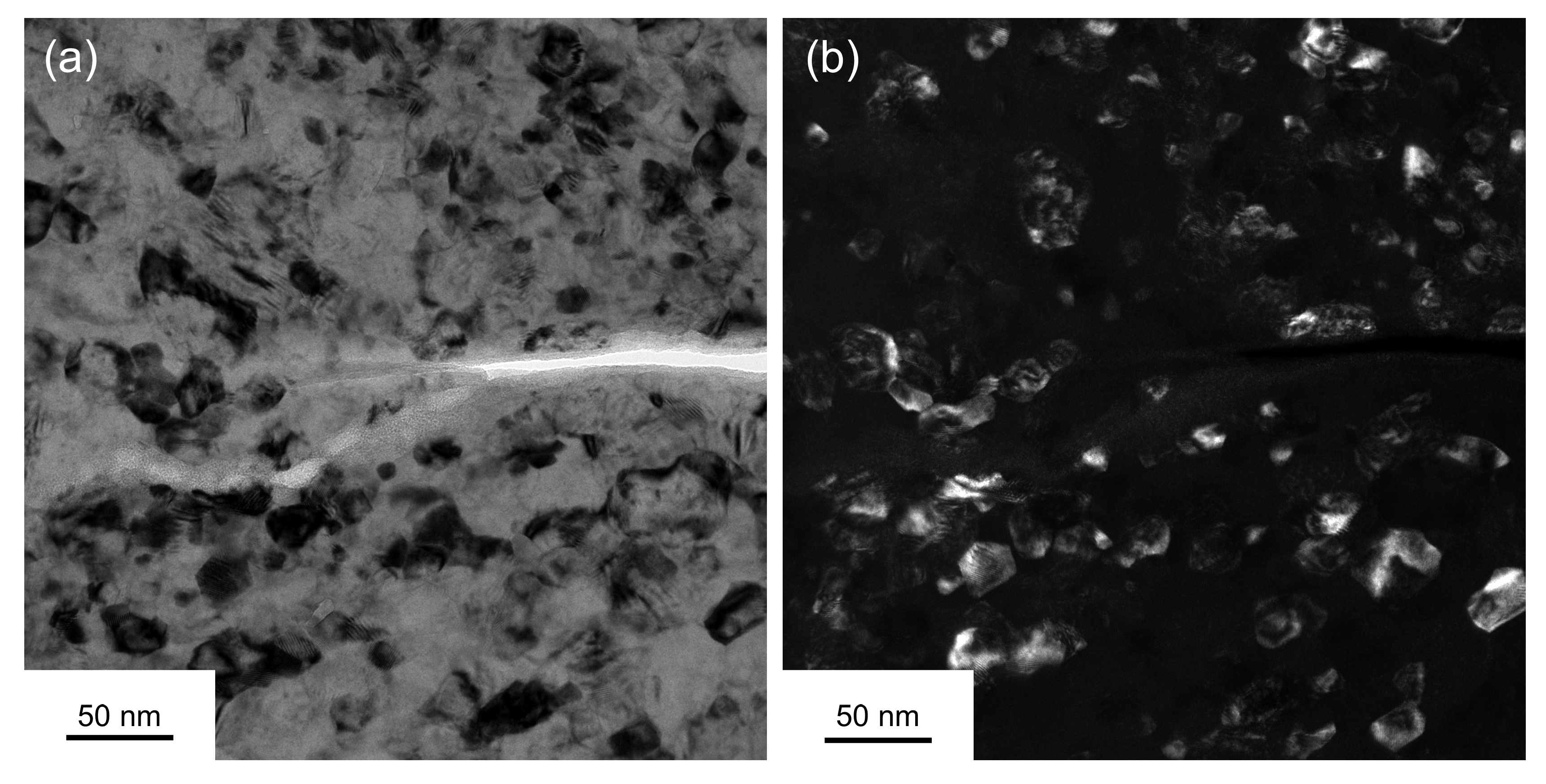 Metals 13 00769 g010