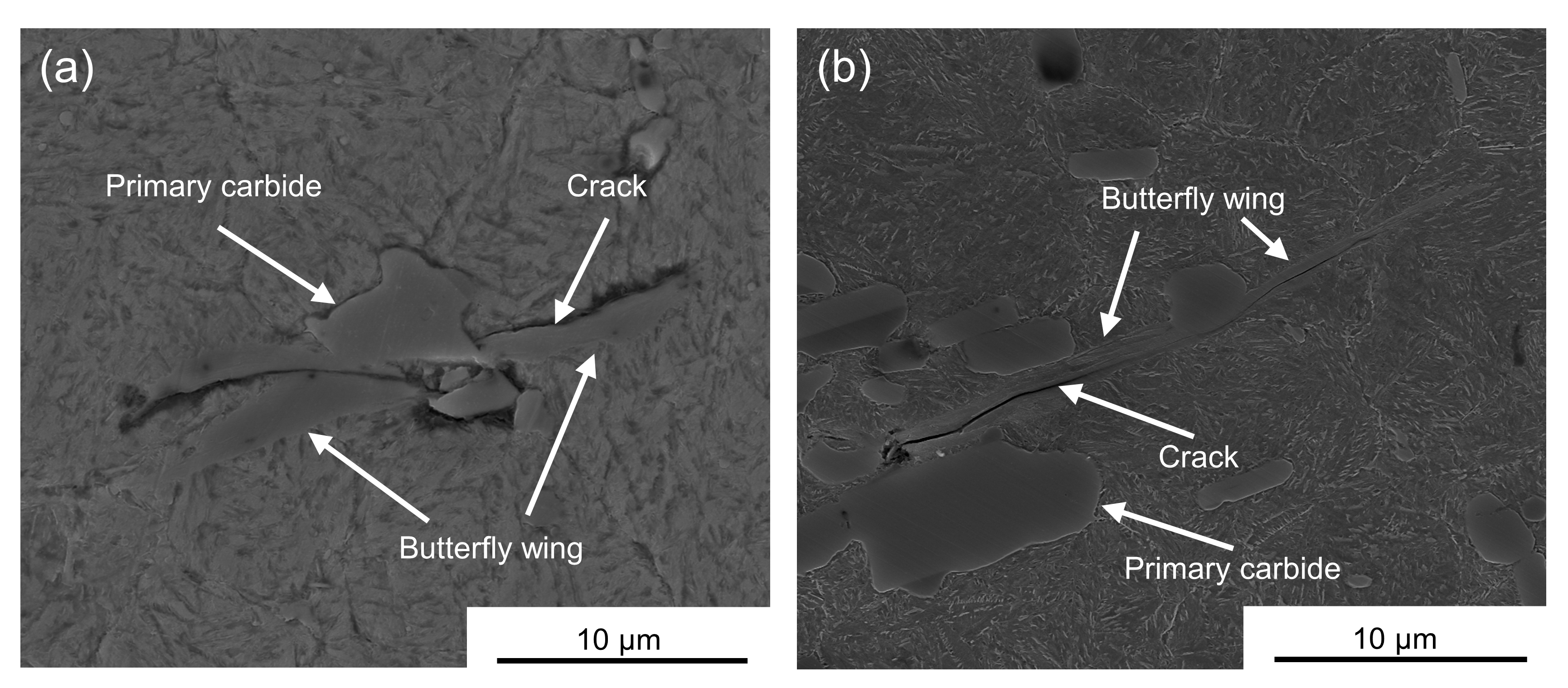 Metals 13 00769 g011