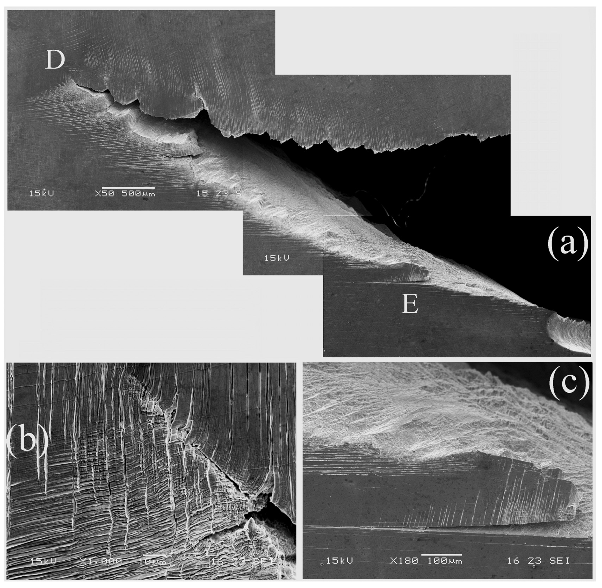 Metals 13 00790 g006