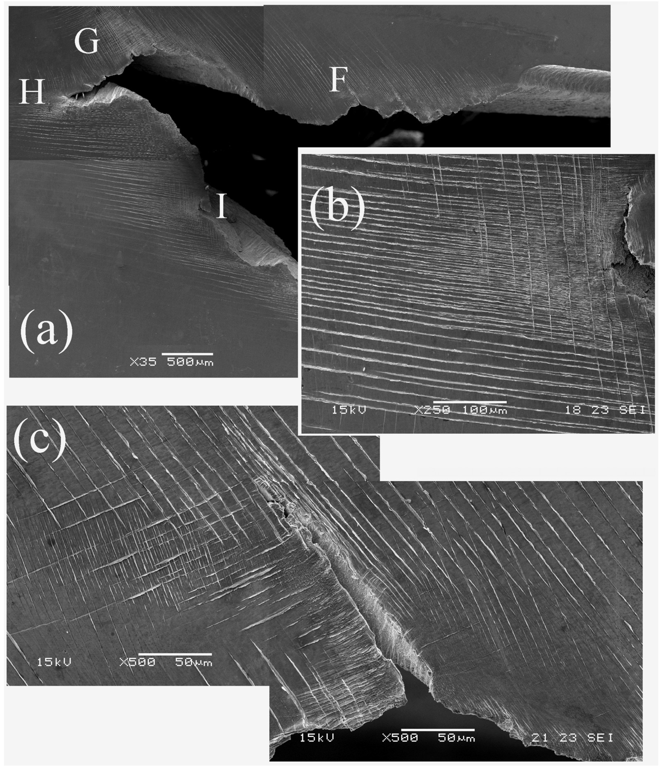 Metals 13 00790 g007a