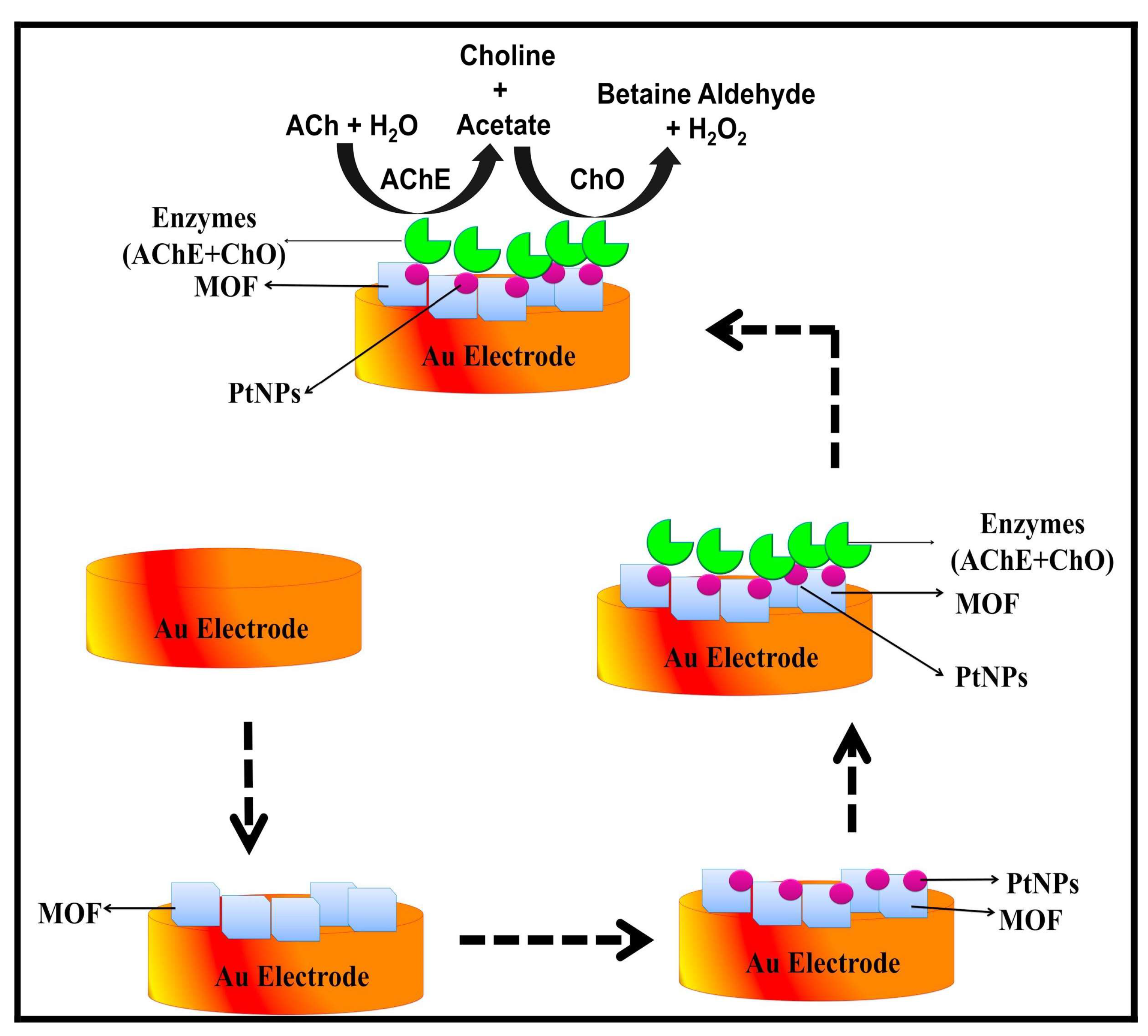 Metals 13 00792 g006
