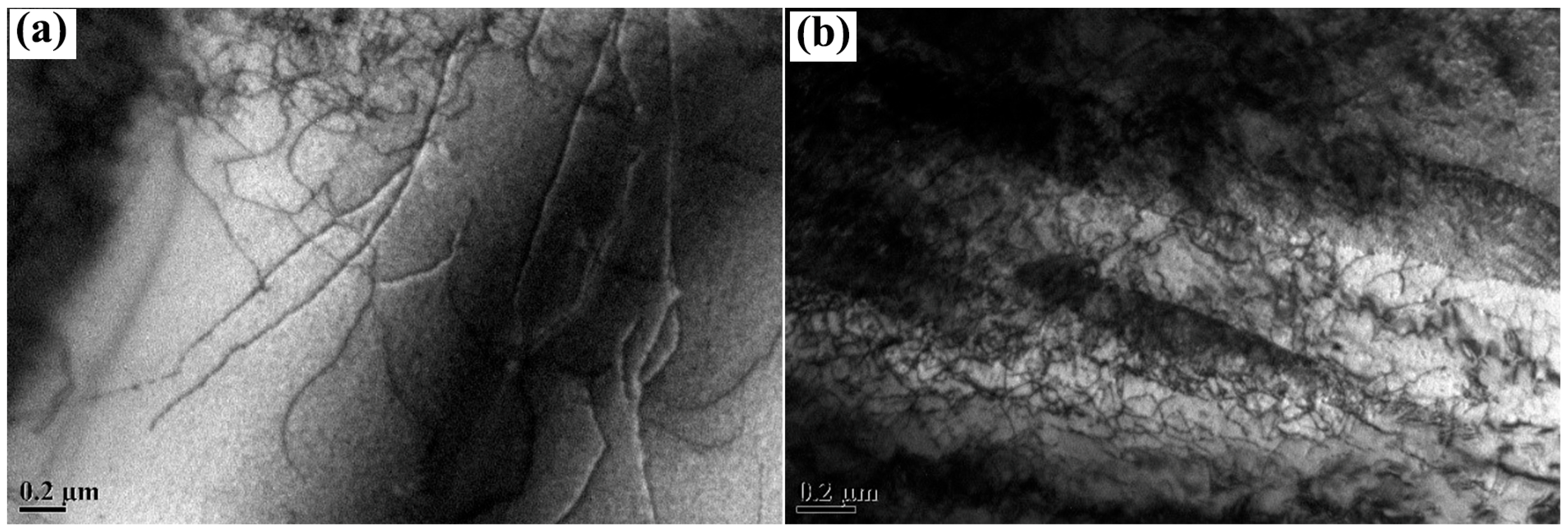 Metals 13 00804 g010