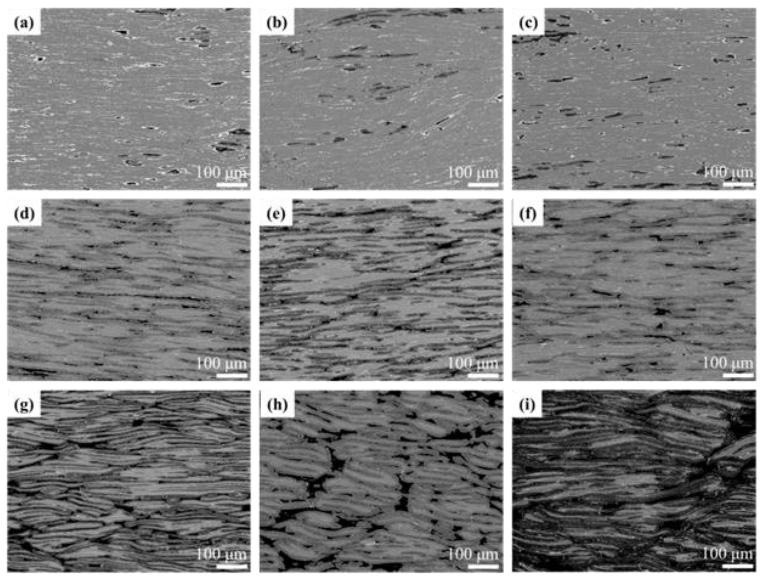 Metals 13 00808 g007