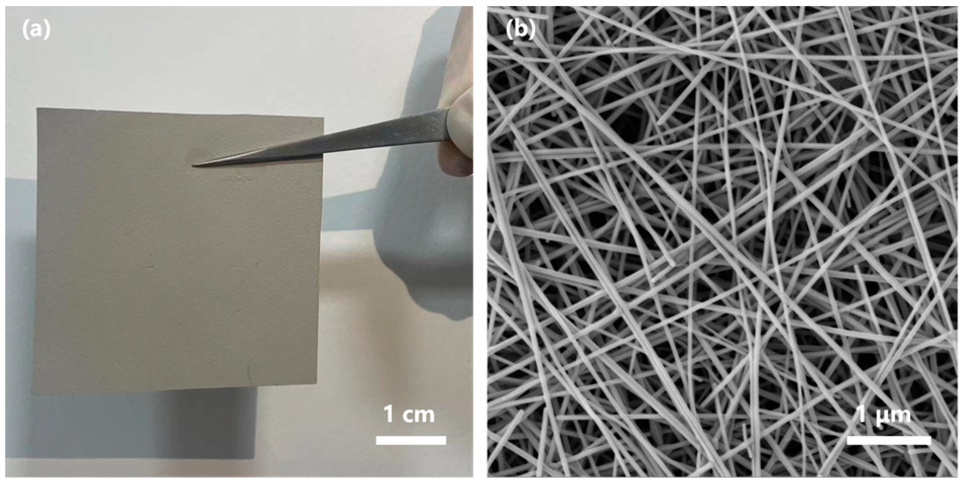 Metals 13 00819 g004