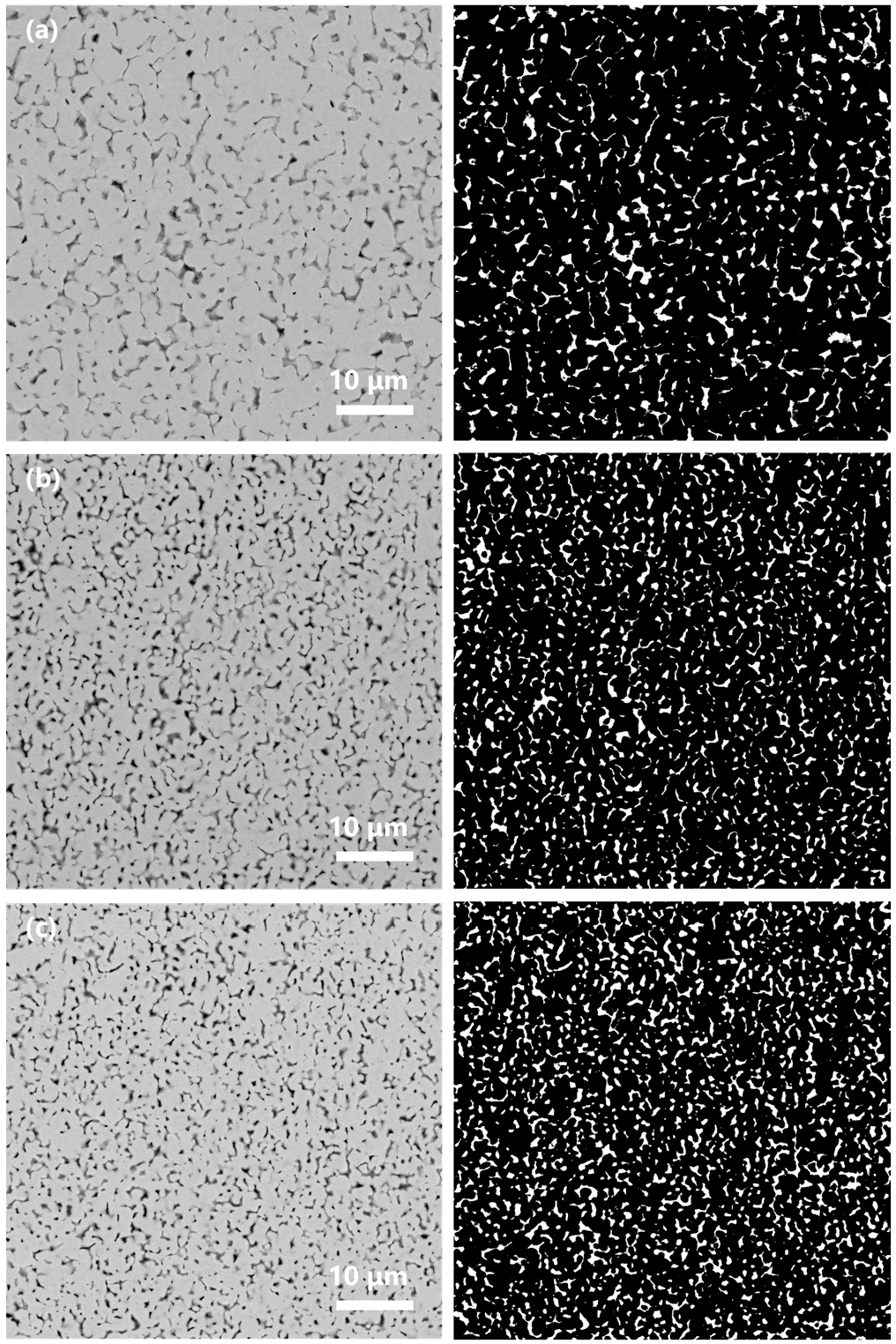 Metals 13 00819 g010