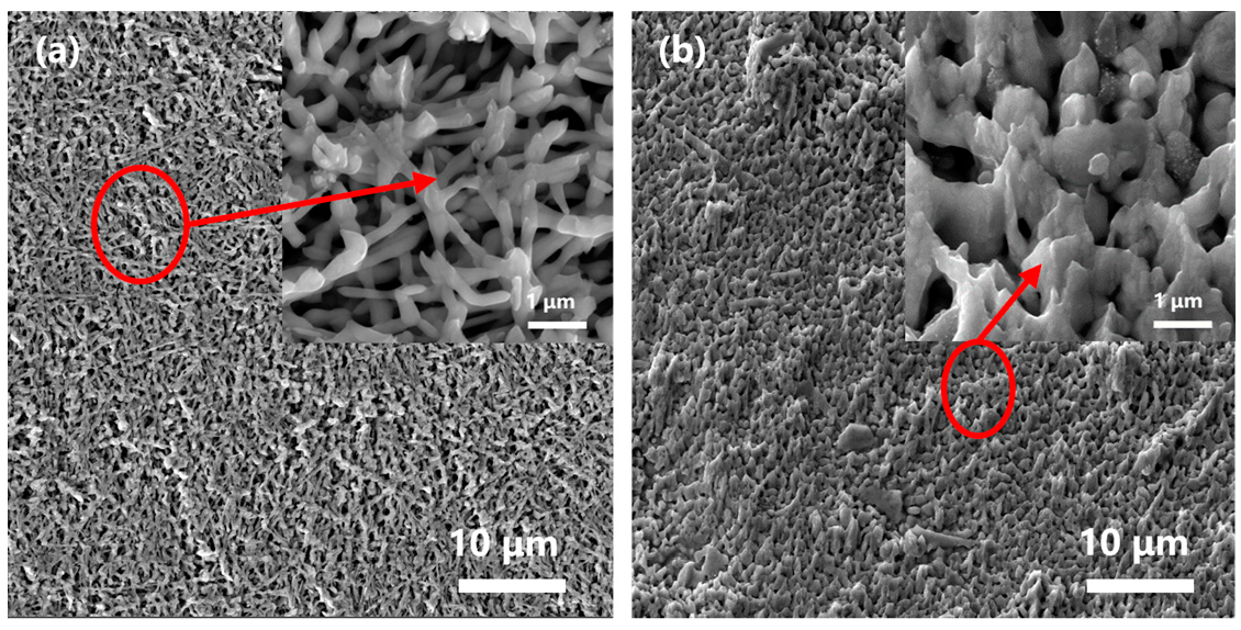 Metals 13 00819 g012