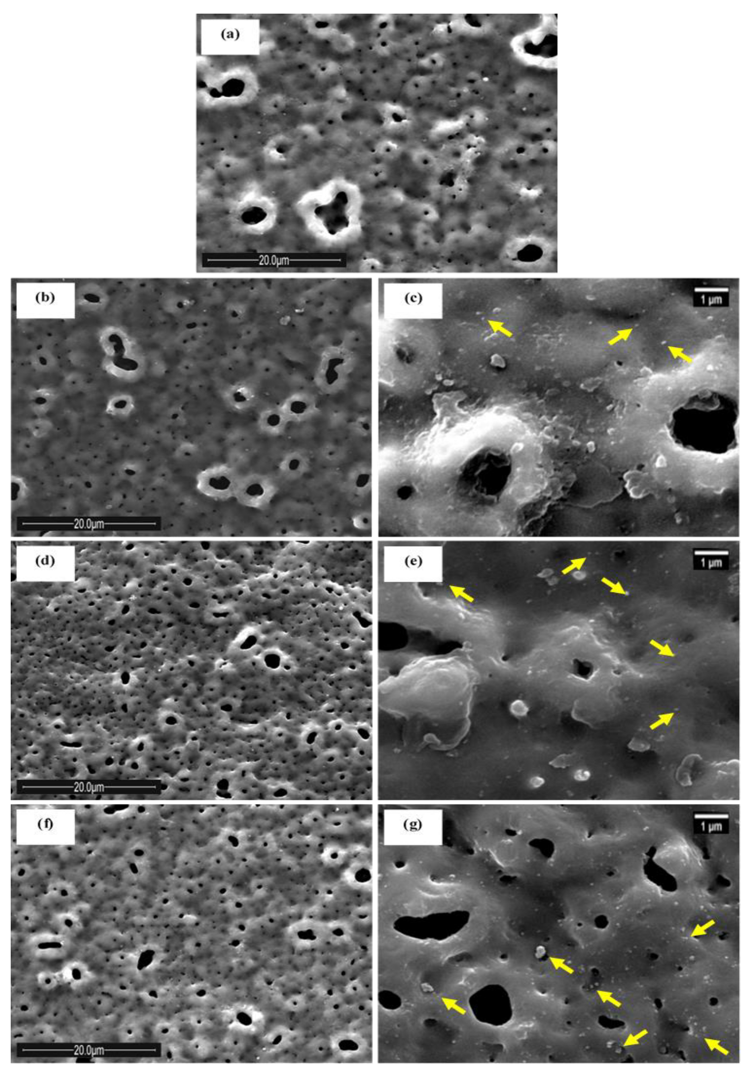 Metals 13 00821 g002