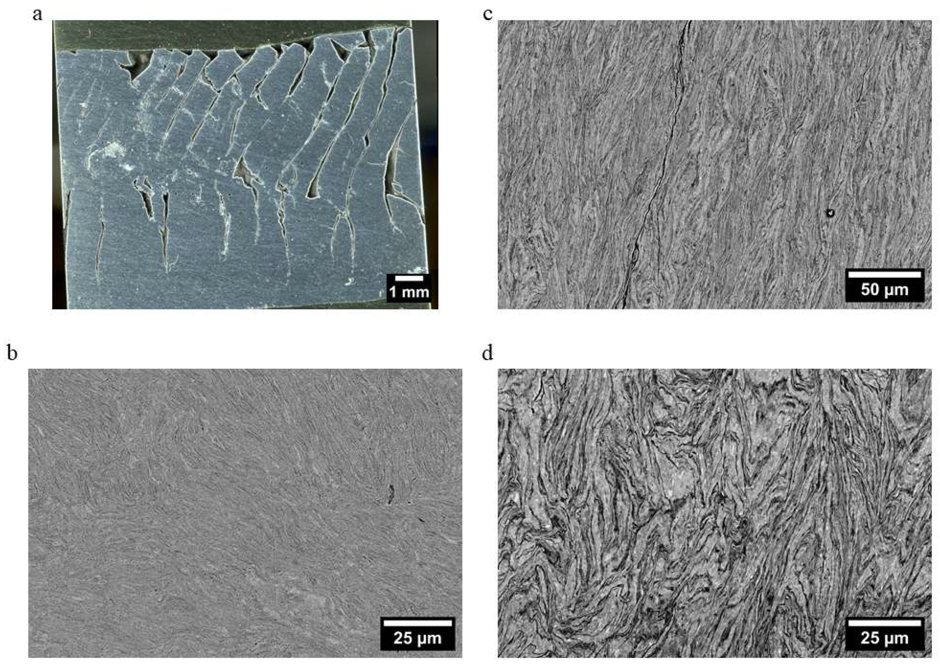 Metals 13 00825 g004