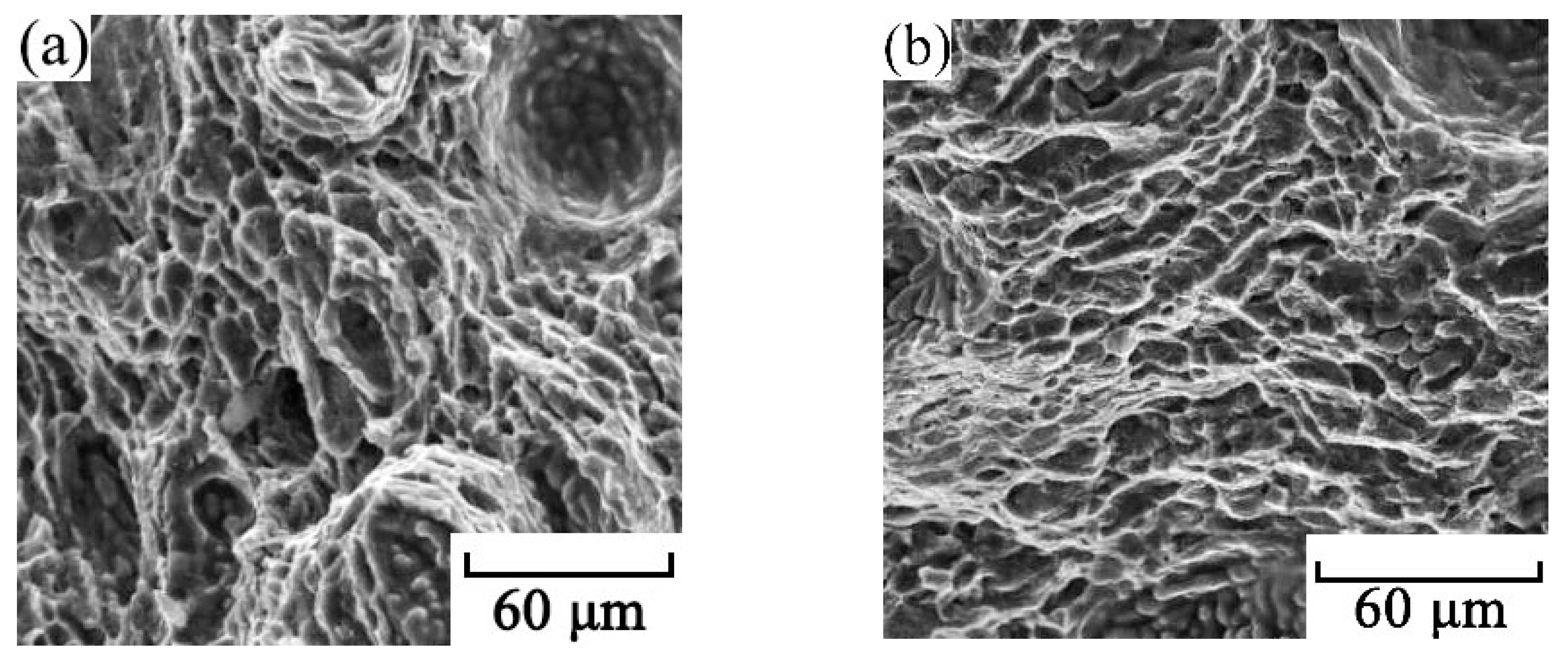 Metals 13 00830 g012
