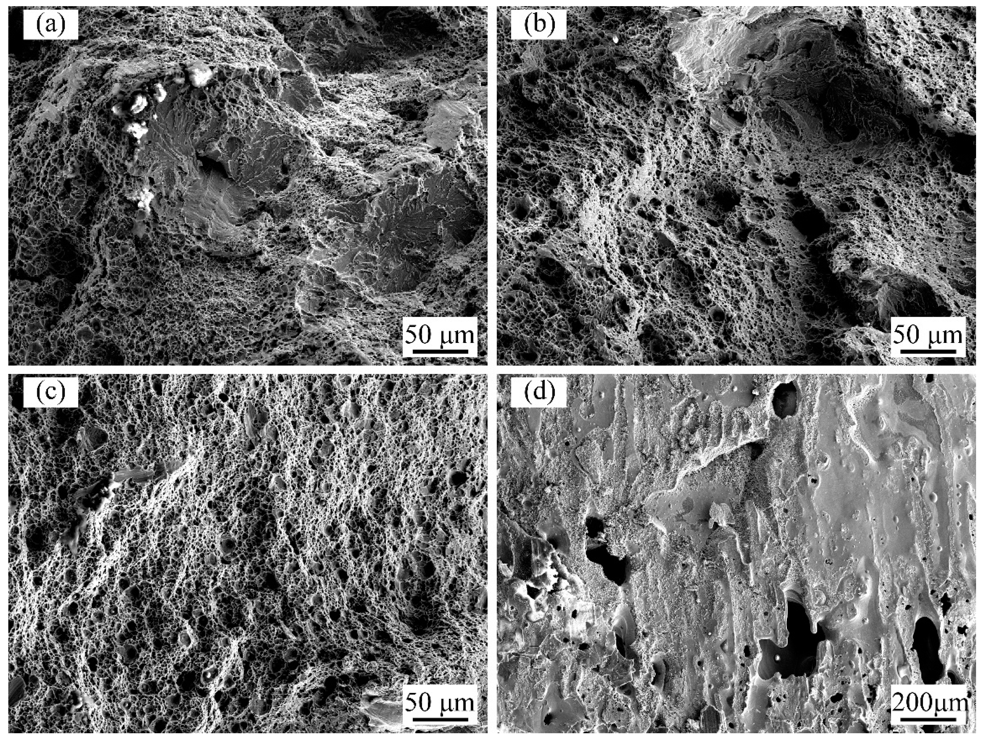 Metals 13 00831 g012