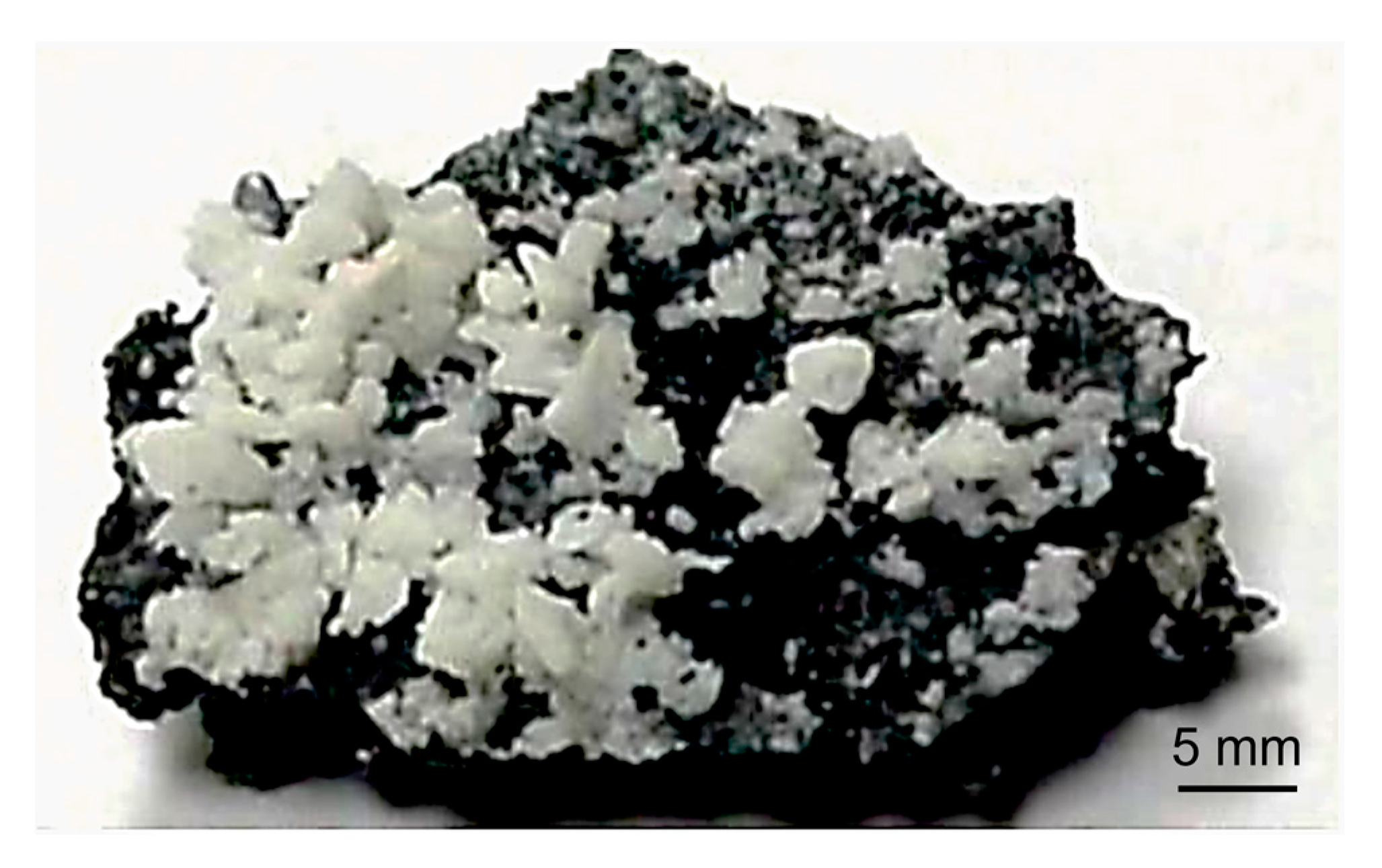 Metals 13 00832 g007